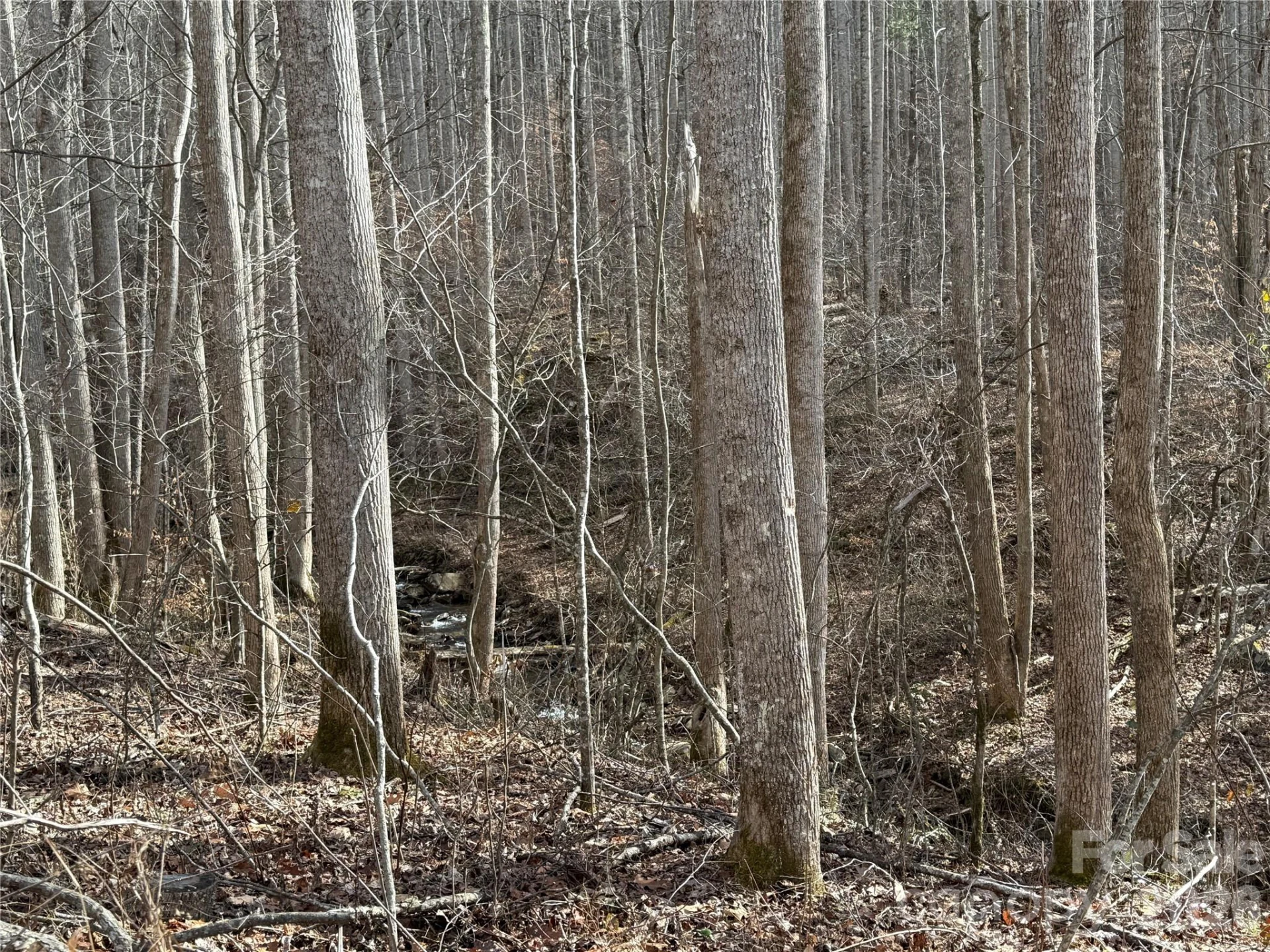 00000 Martins Creek Road