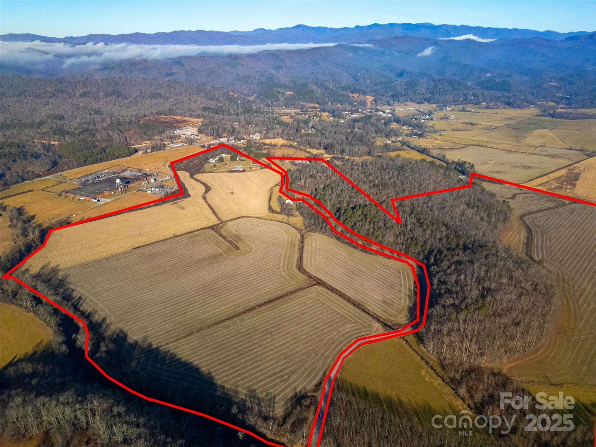 000 Lyons Mountain Road - Photo 2