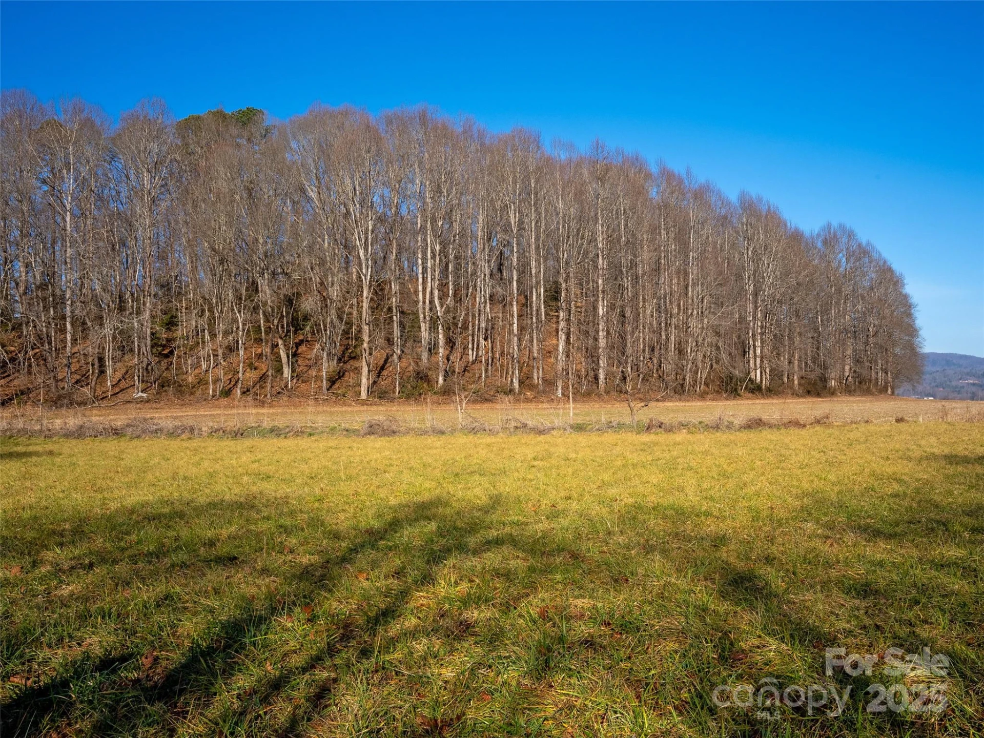 000 Lyons Mountain Road - Photo 12