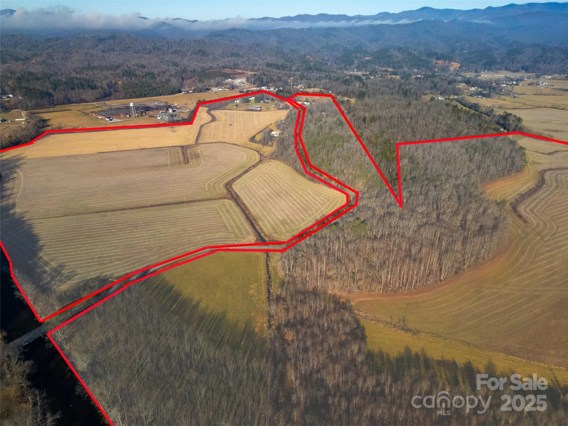 000 Lyons Mountain Road - Photo 6