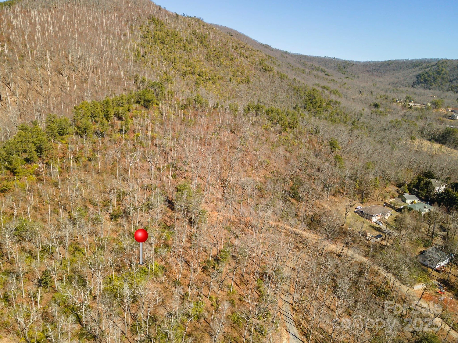 107 Bartram Way - Photo 3