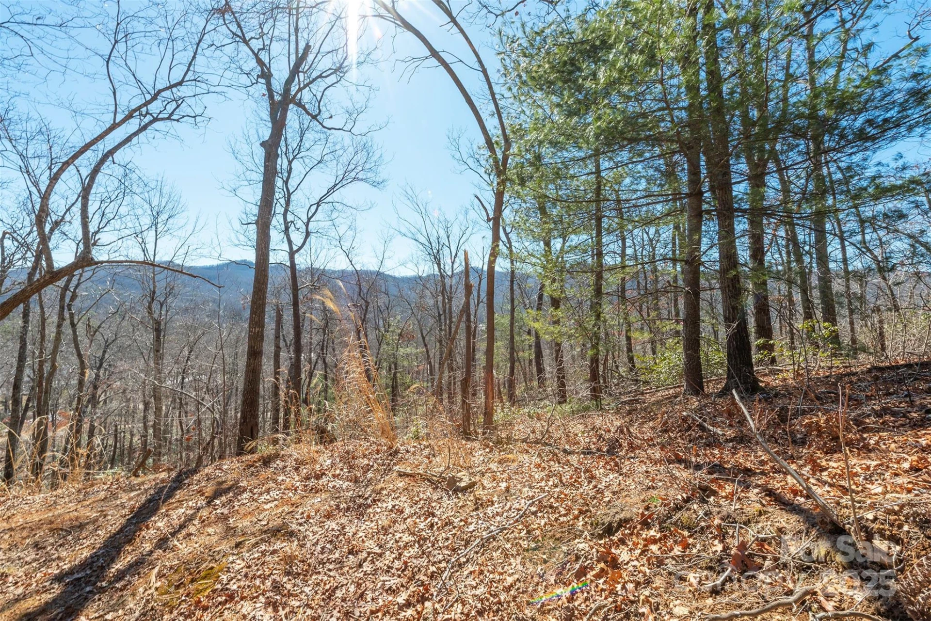 107 Bartram Way - Photo 5