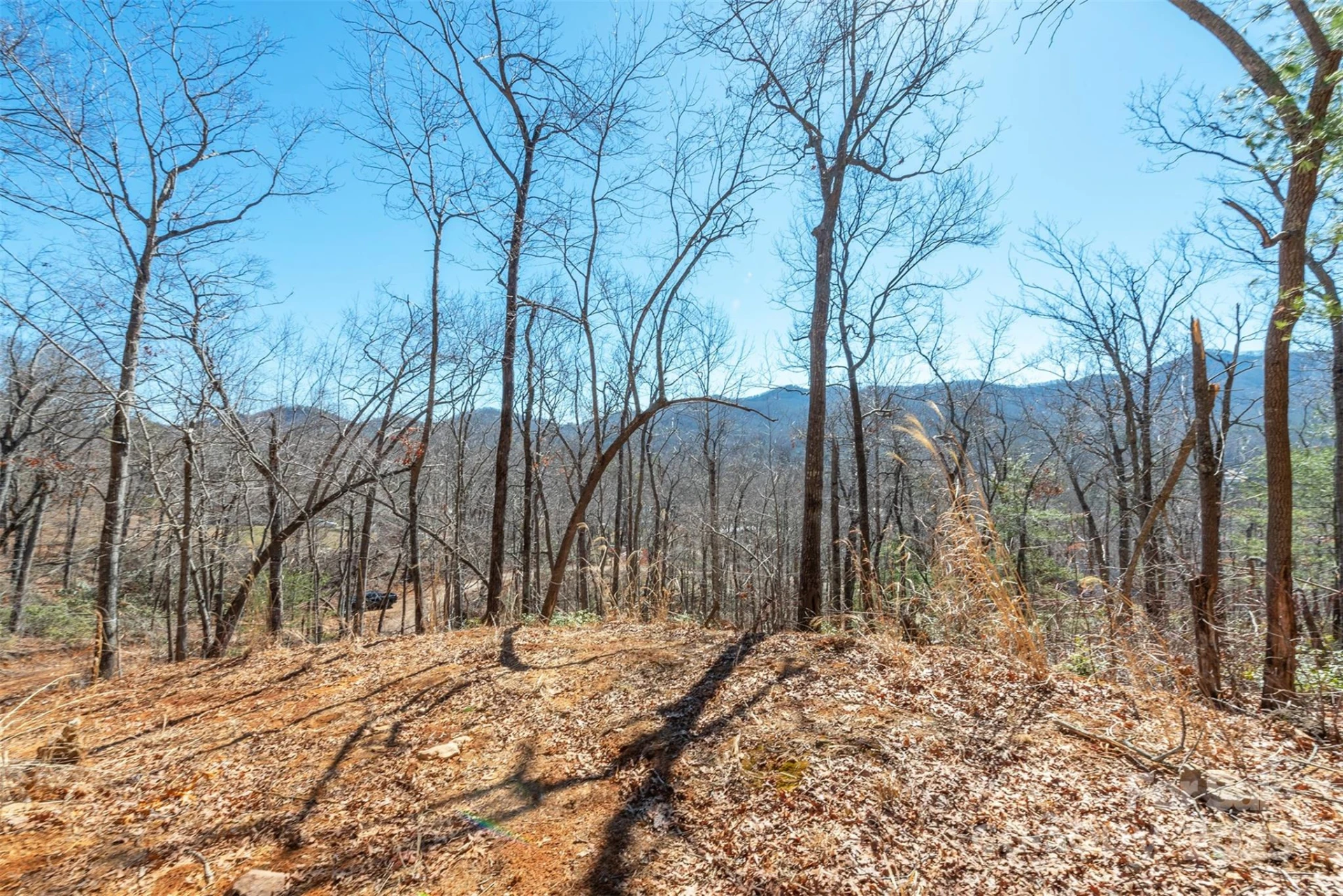 107 Bartram Way - Photo 6