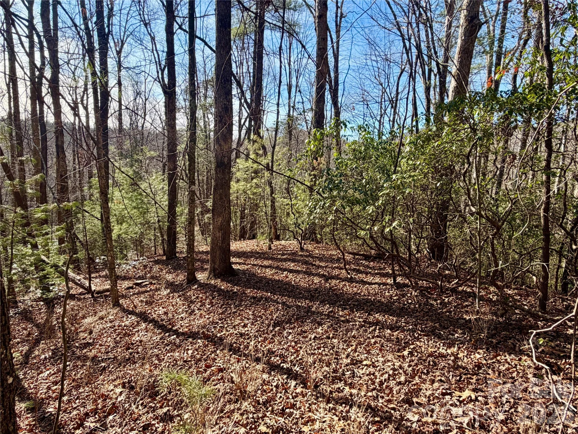 Lot 48 Fox Den Road - Photo 5