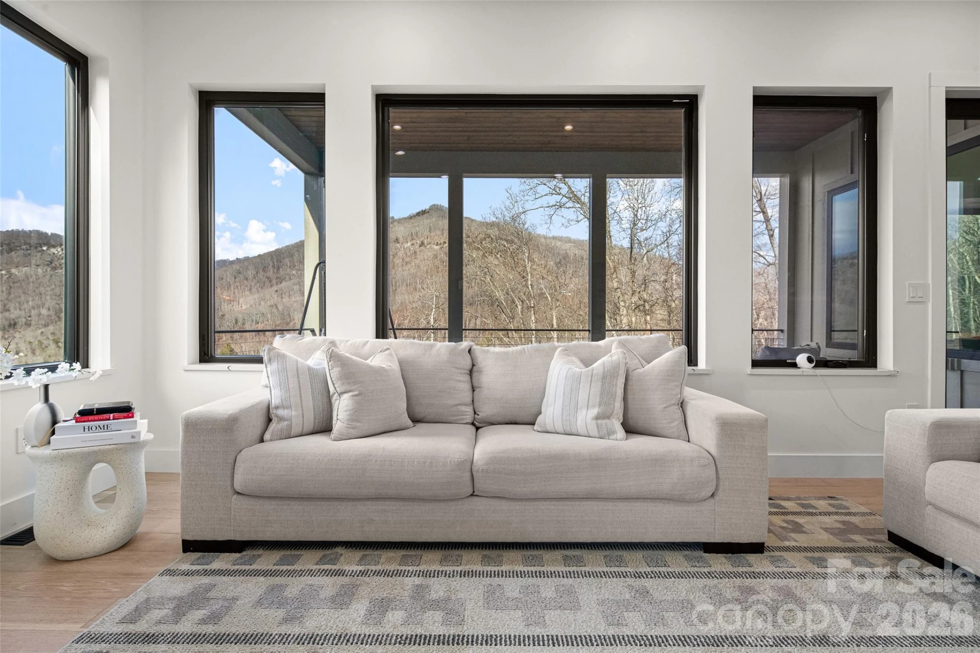 22 Chesten Mountain Drive - Photo 9