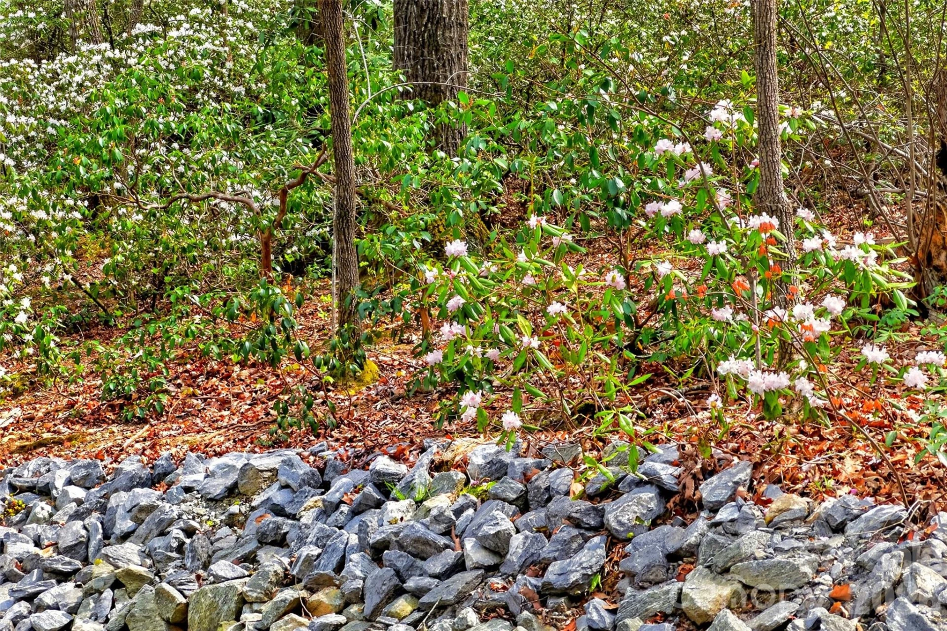 1413 Golf Course Road #24A - Photo 9