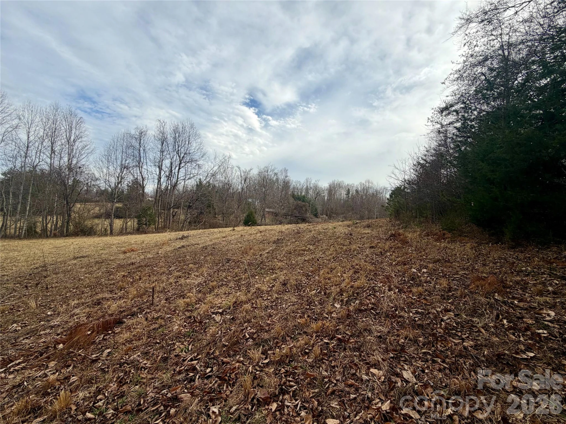 900 Rock Road - Photo 11