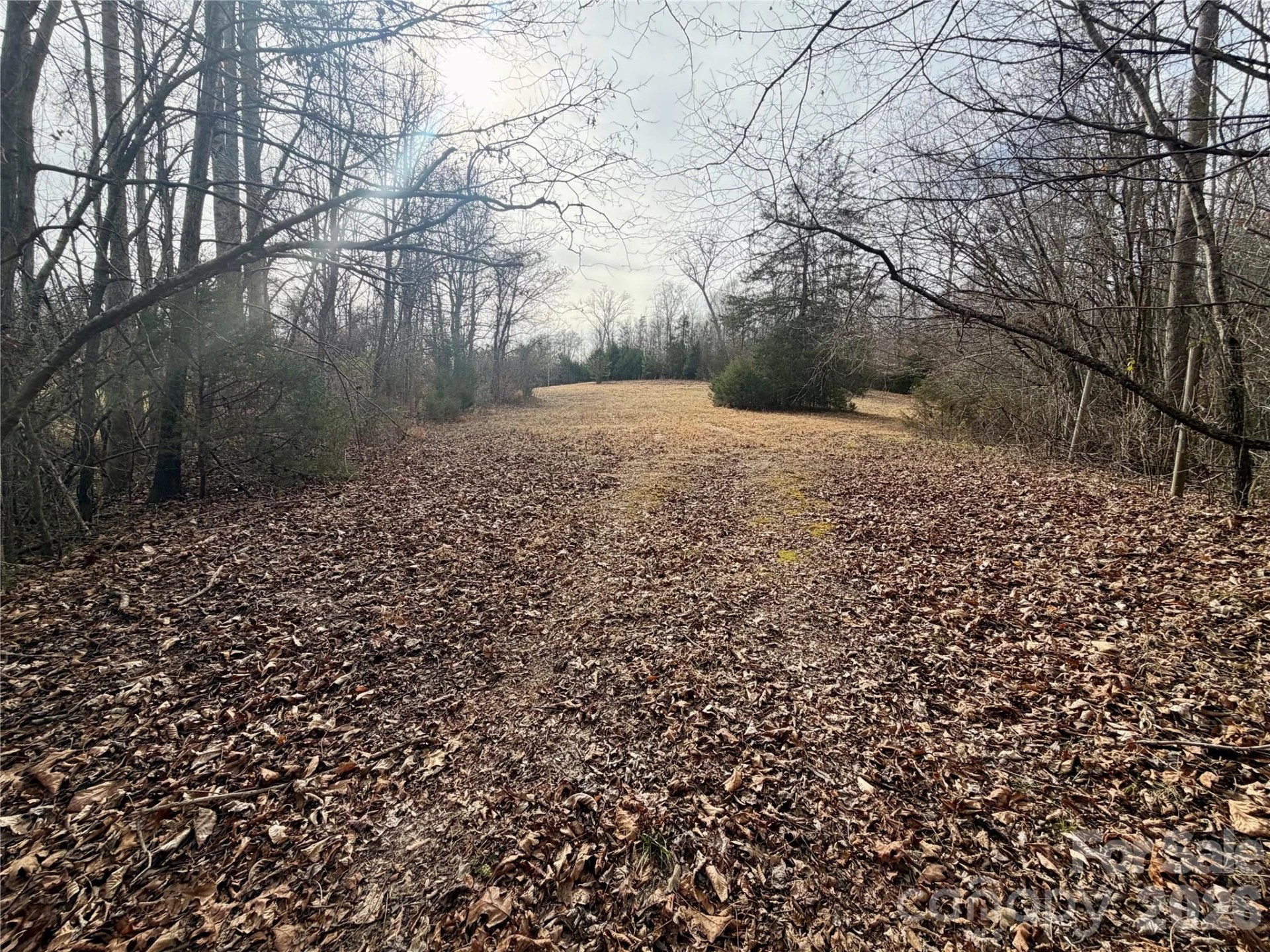 900 Rock Road - Photo 14