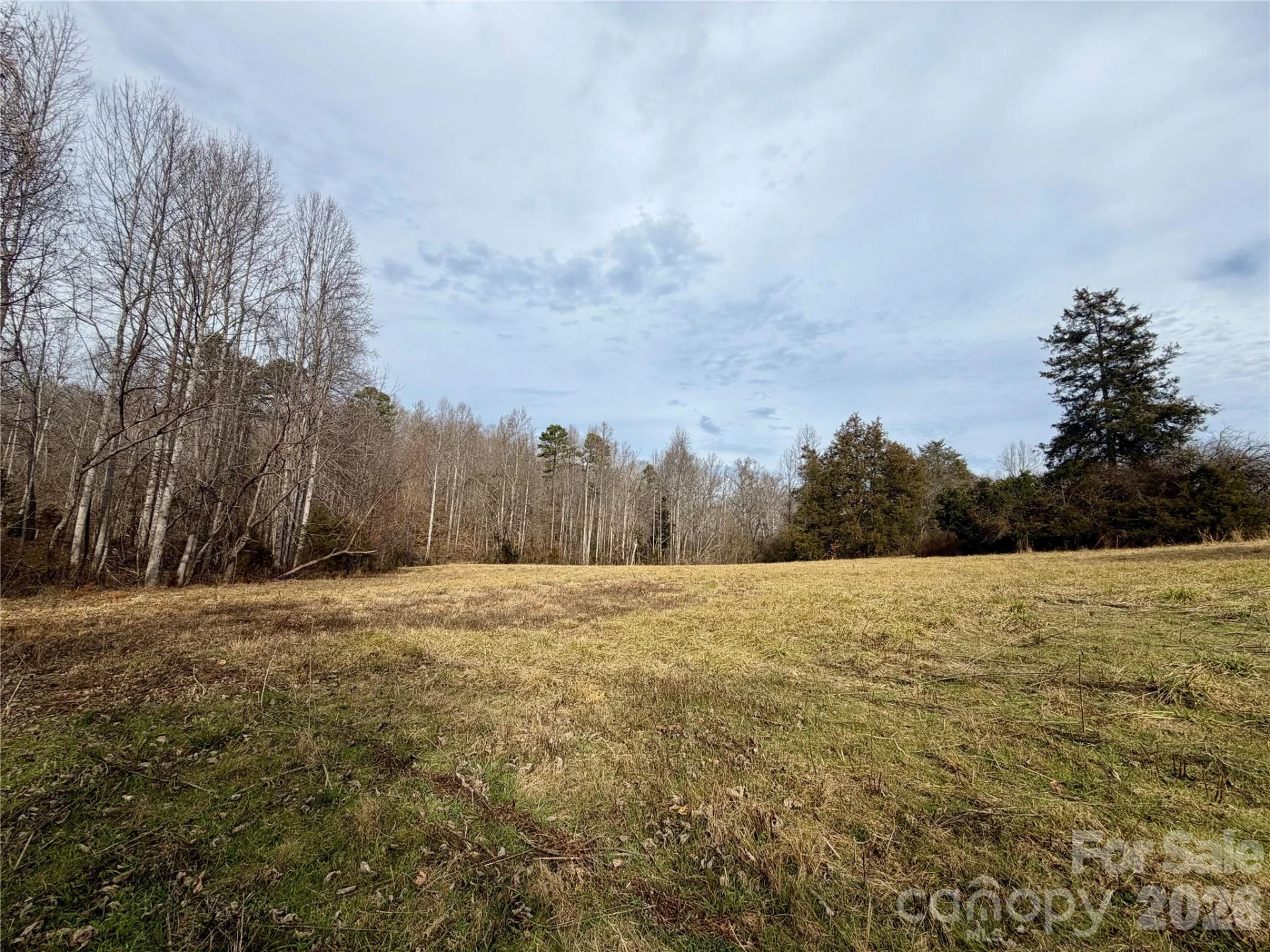 900 Rock Road - Photo 3