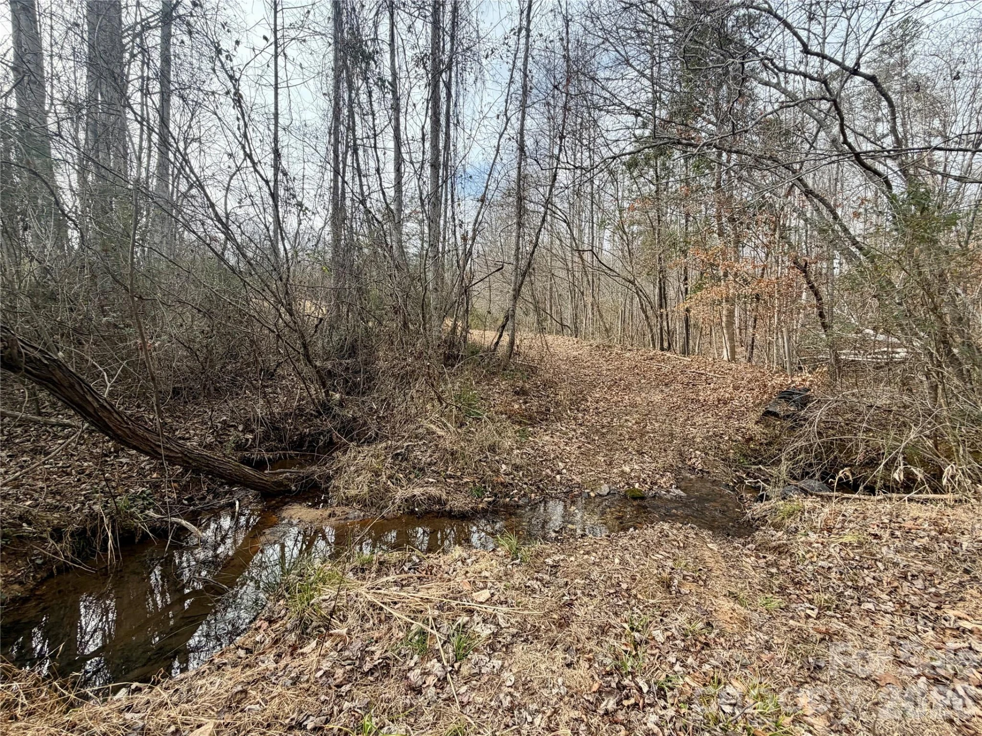 900 Rock Road - Photo 5