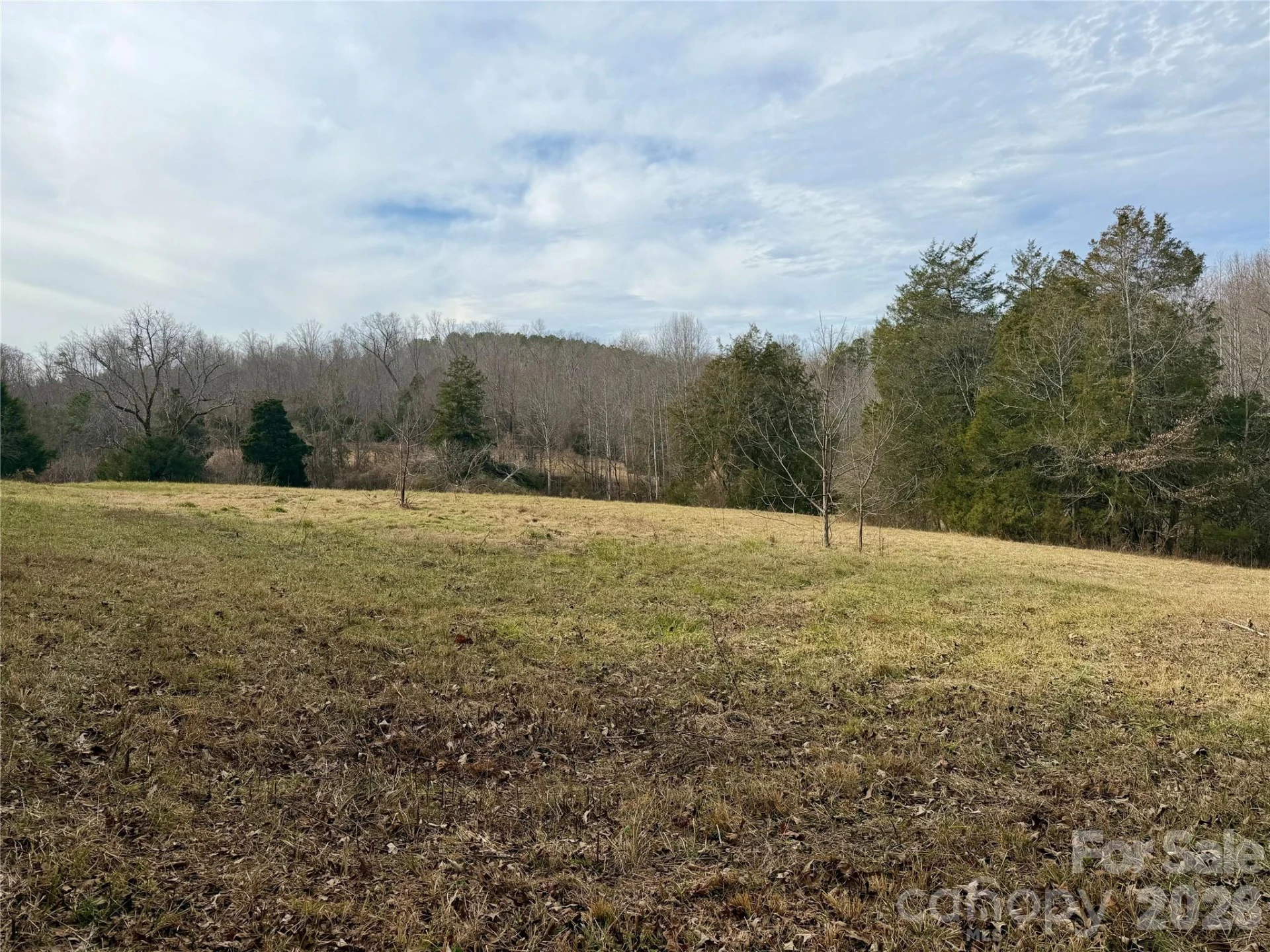 900 Rock Road - Photo 8