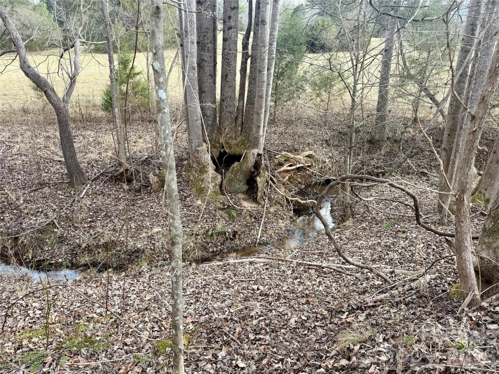 900 Rock Road - Photo 9