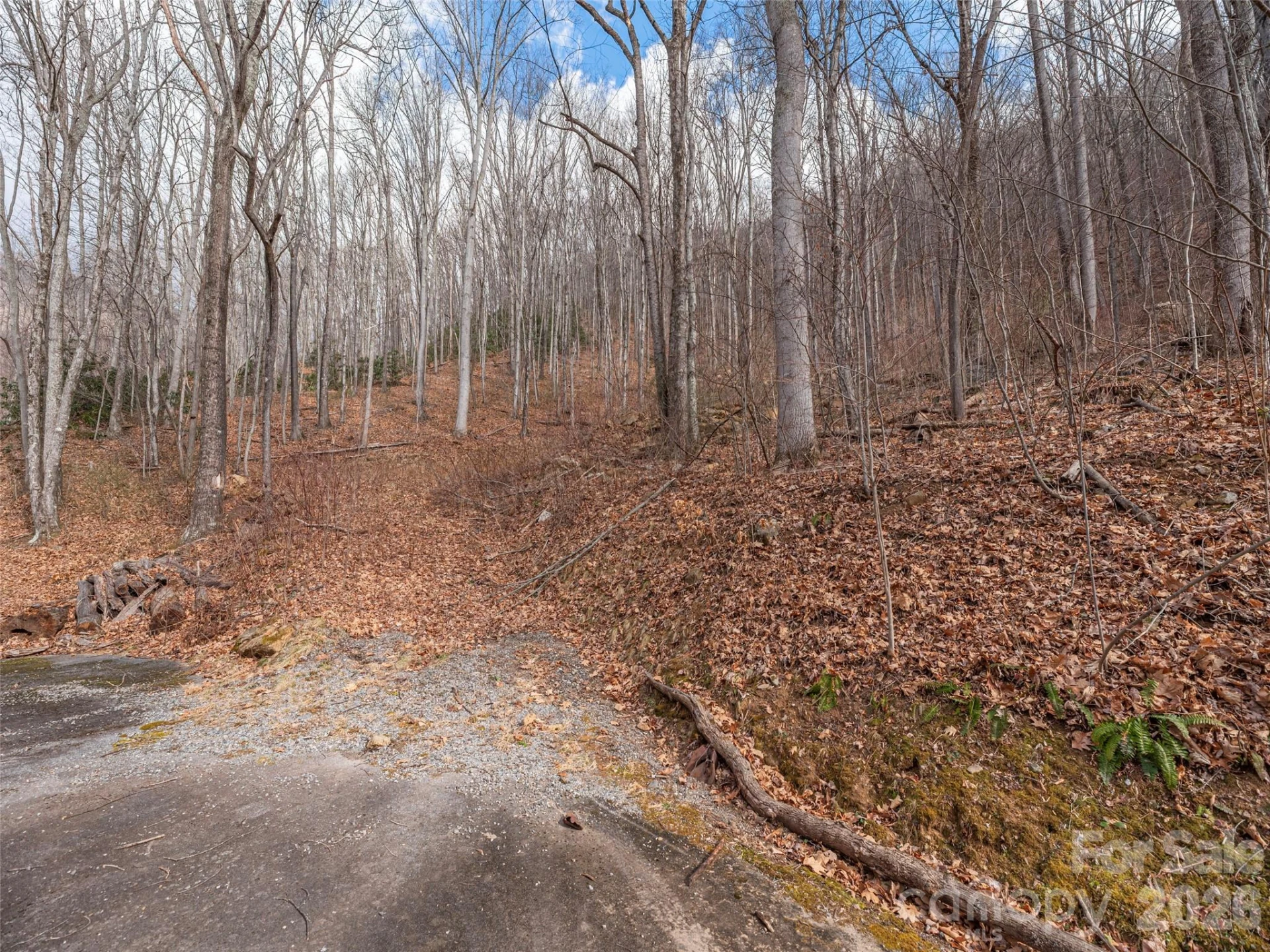 30 Hudson Valley Drive - Photo 6