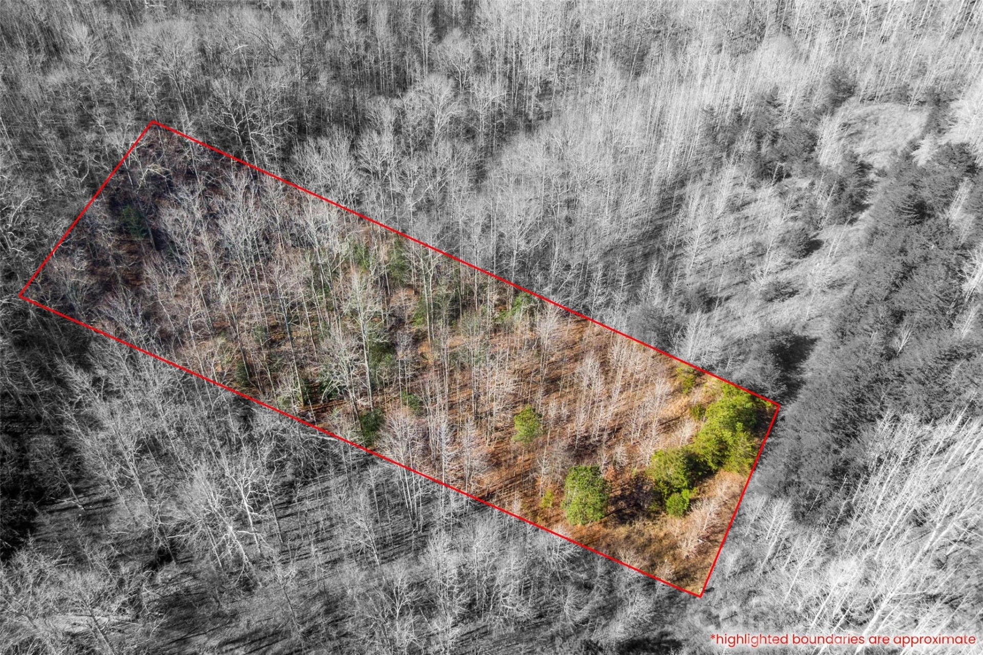 0 W Pasture Drive #36 - Photo 4