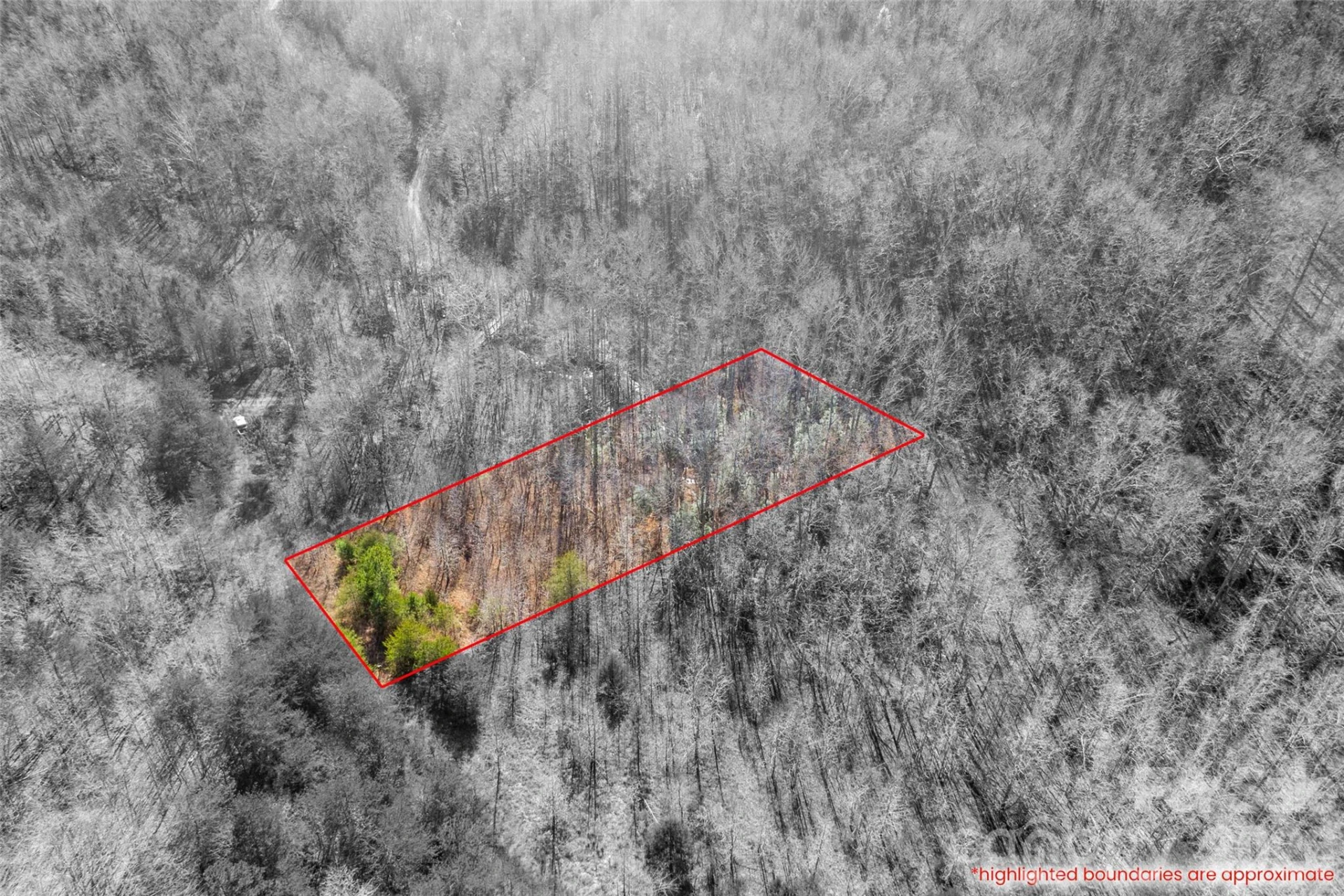 0 W Pasture Drive #36 - Photo 5