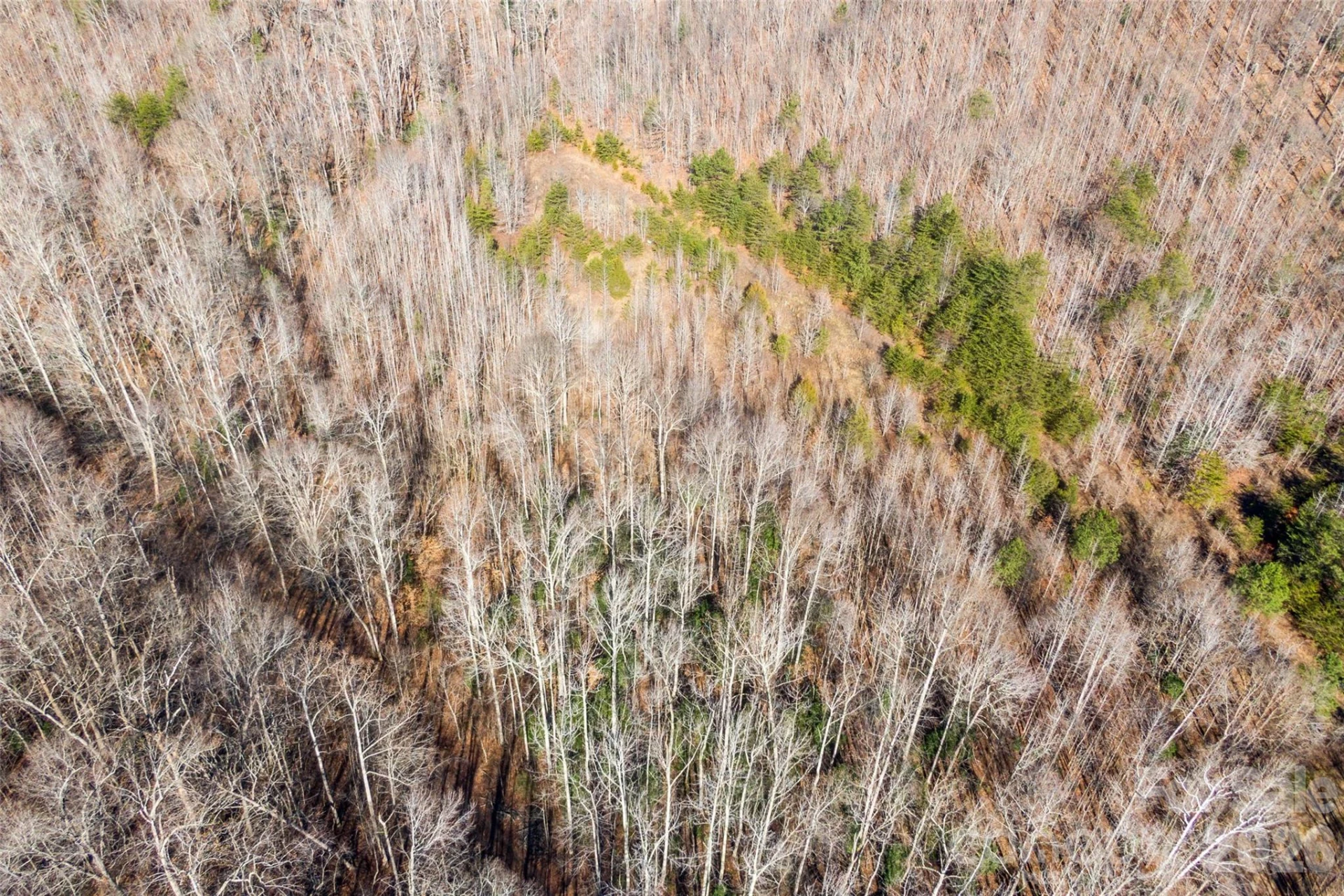 0 W Pasture Drive #36 - Photo 6