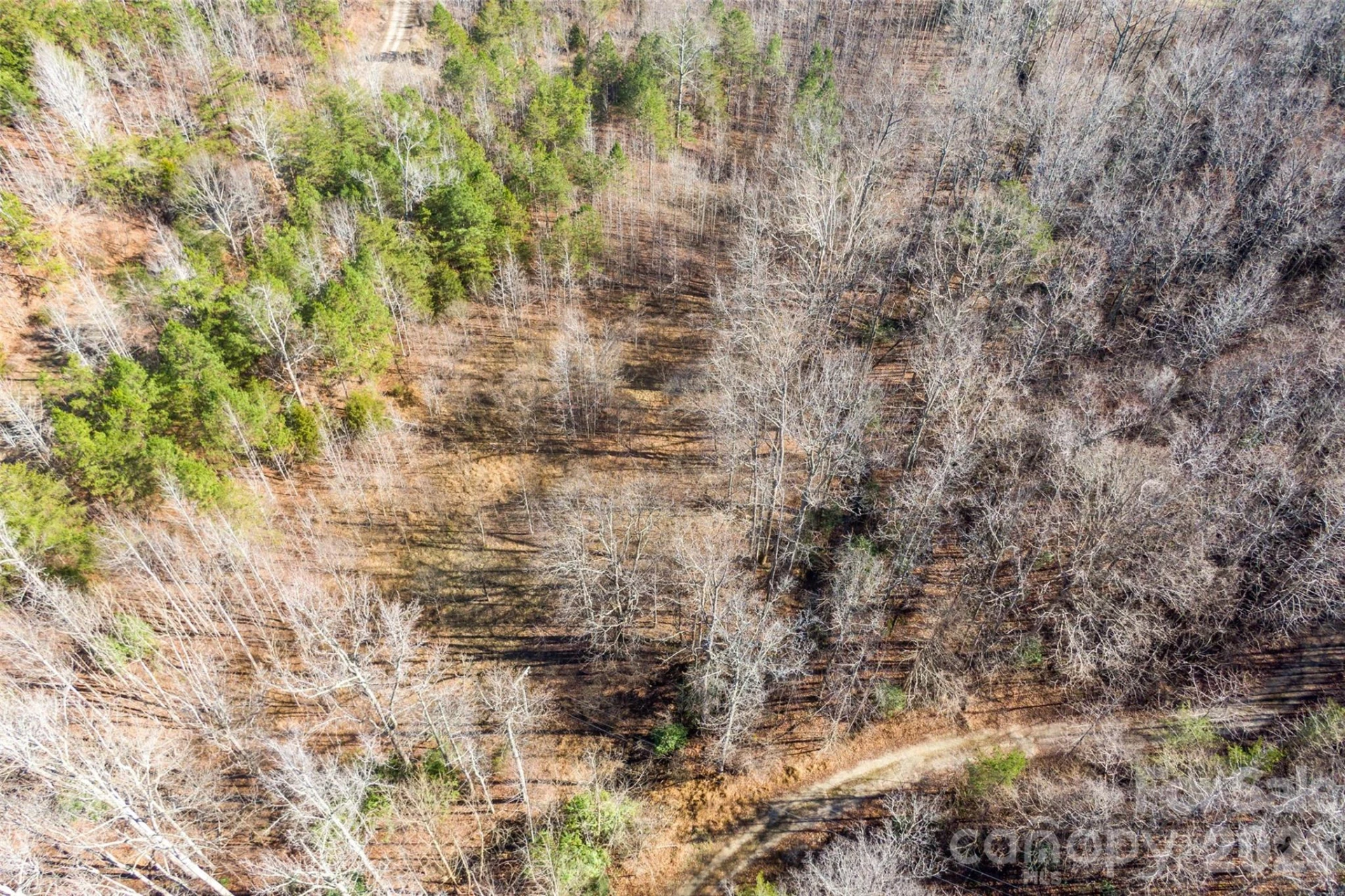 0 Riding Ring Drive #10 - Photo 4
