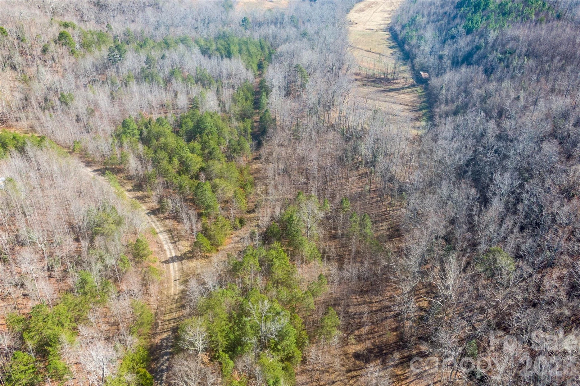 0 Riding Ring Drive #11 - Photo 5