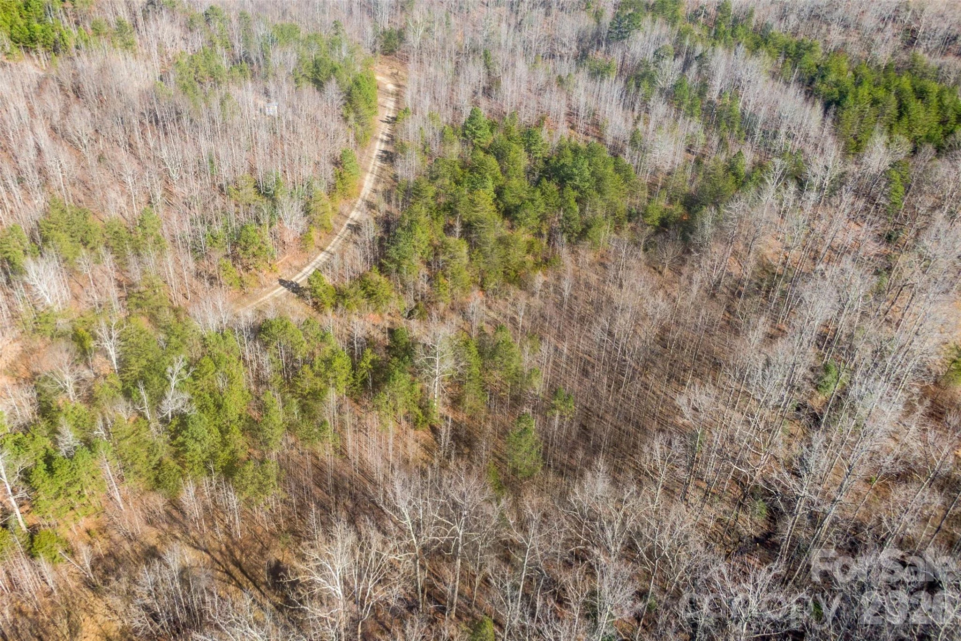 0 Riding Ring Drive #12 - Photo 3