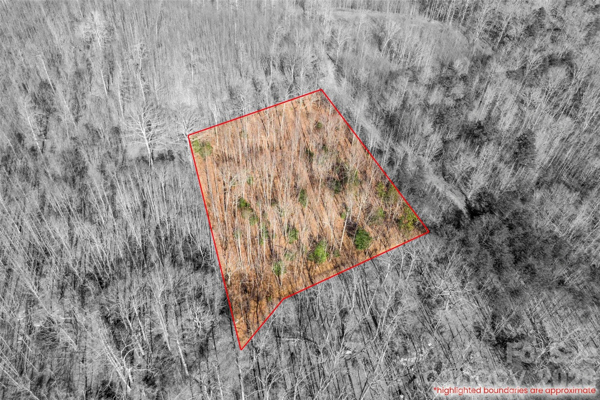 0 Ashe Drive #28A - Photo 6