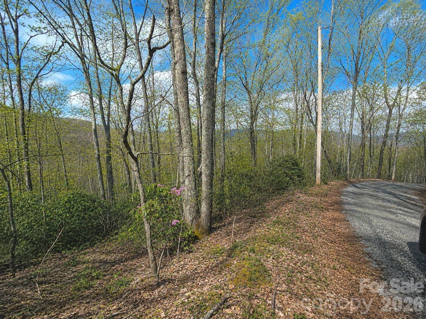 10 Tall Oaks Drive #58A & 58B