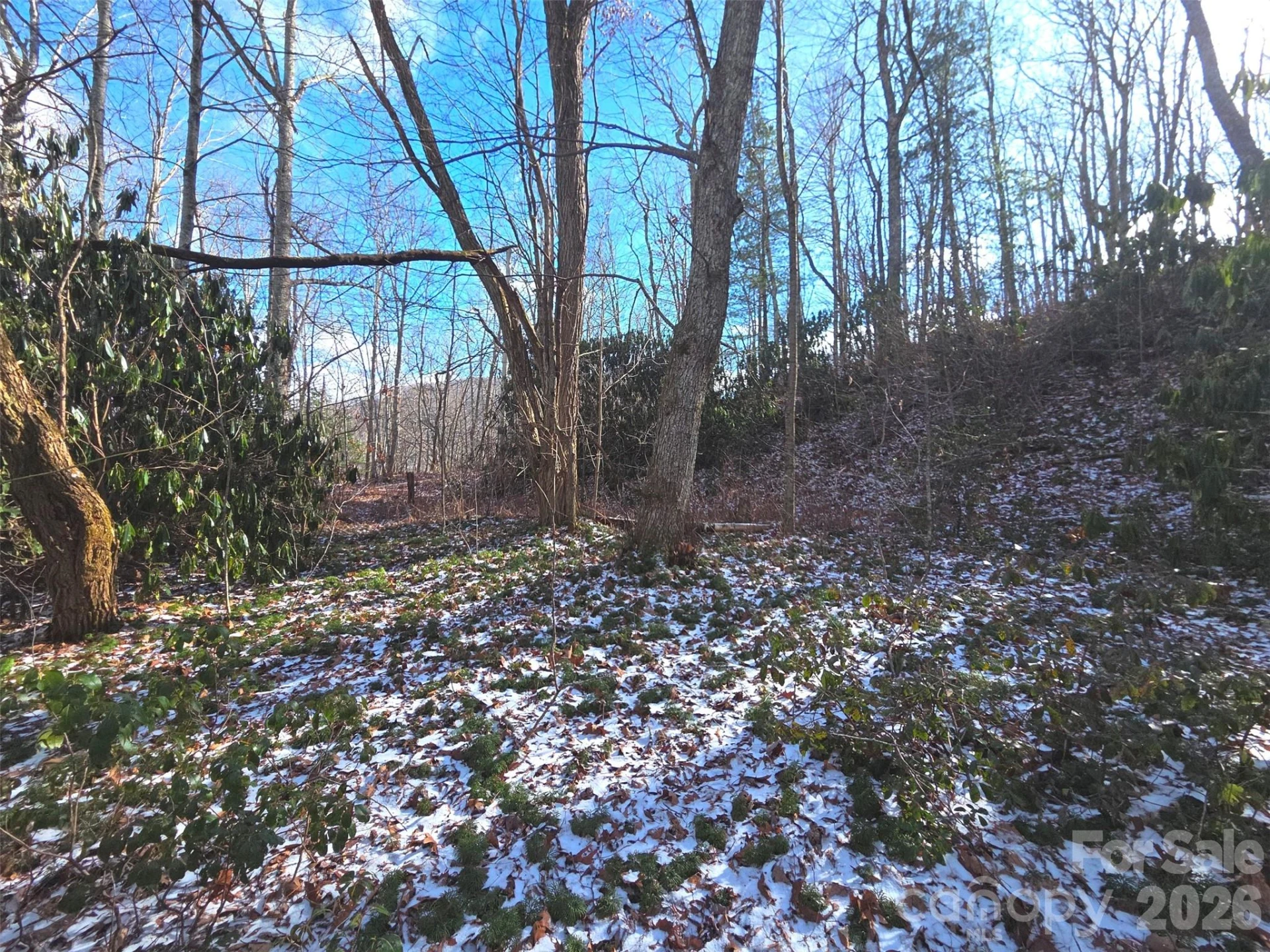 10 Tall Oaks Drive #58A & 58B - Photo 9
