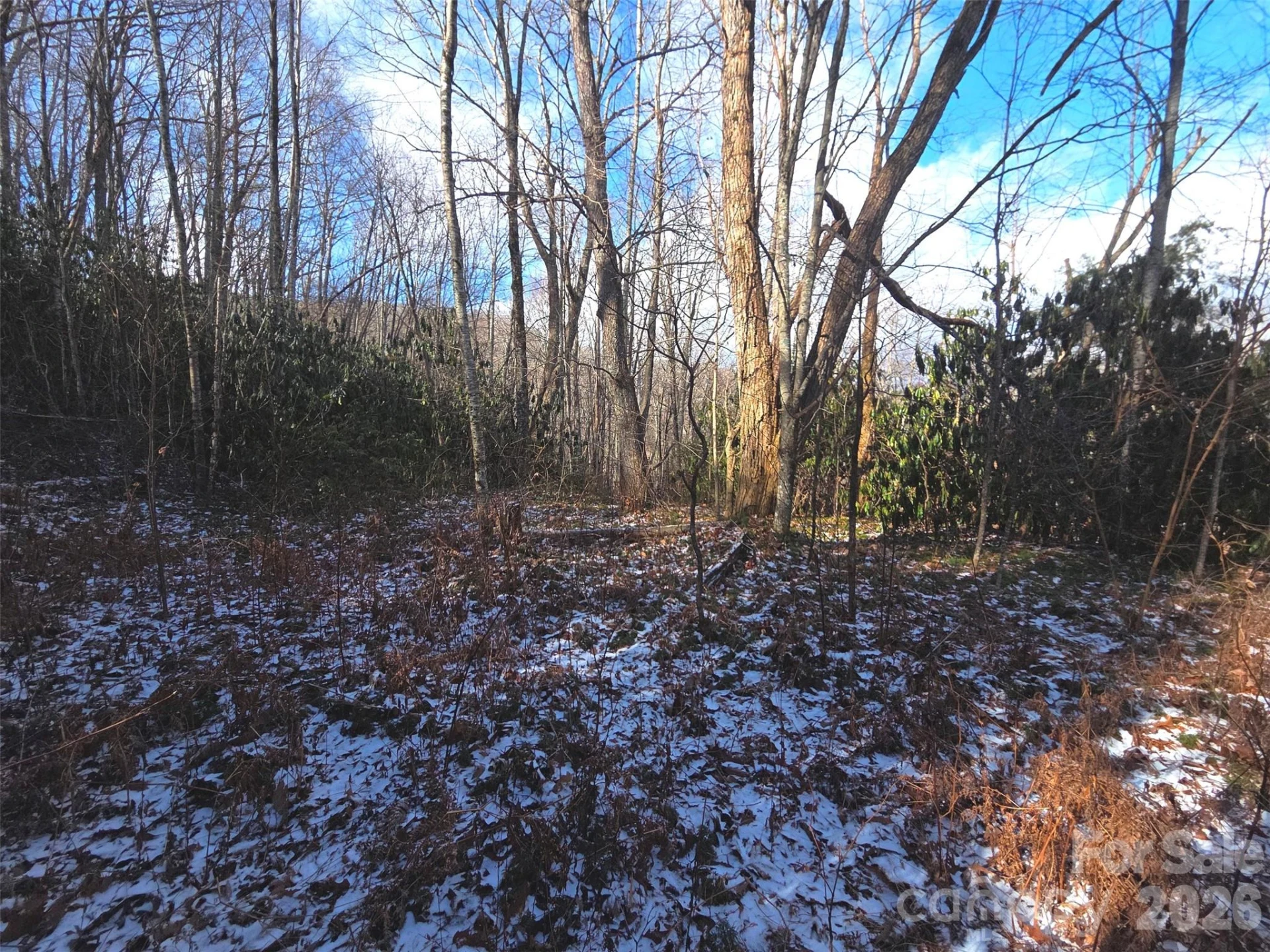 10 Tall Oaks Drive #58A & 58B - Photo 18