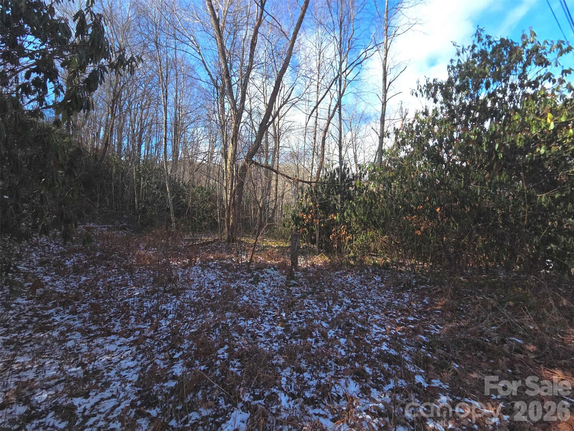 10 Tall Oaks Drive #58A & 58B - Photo 8