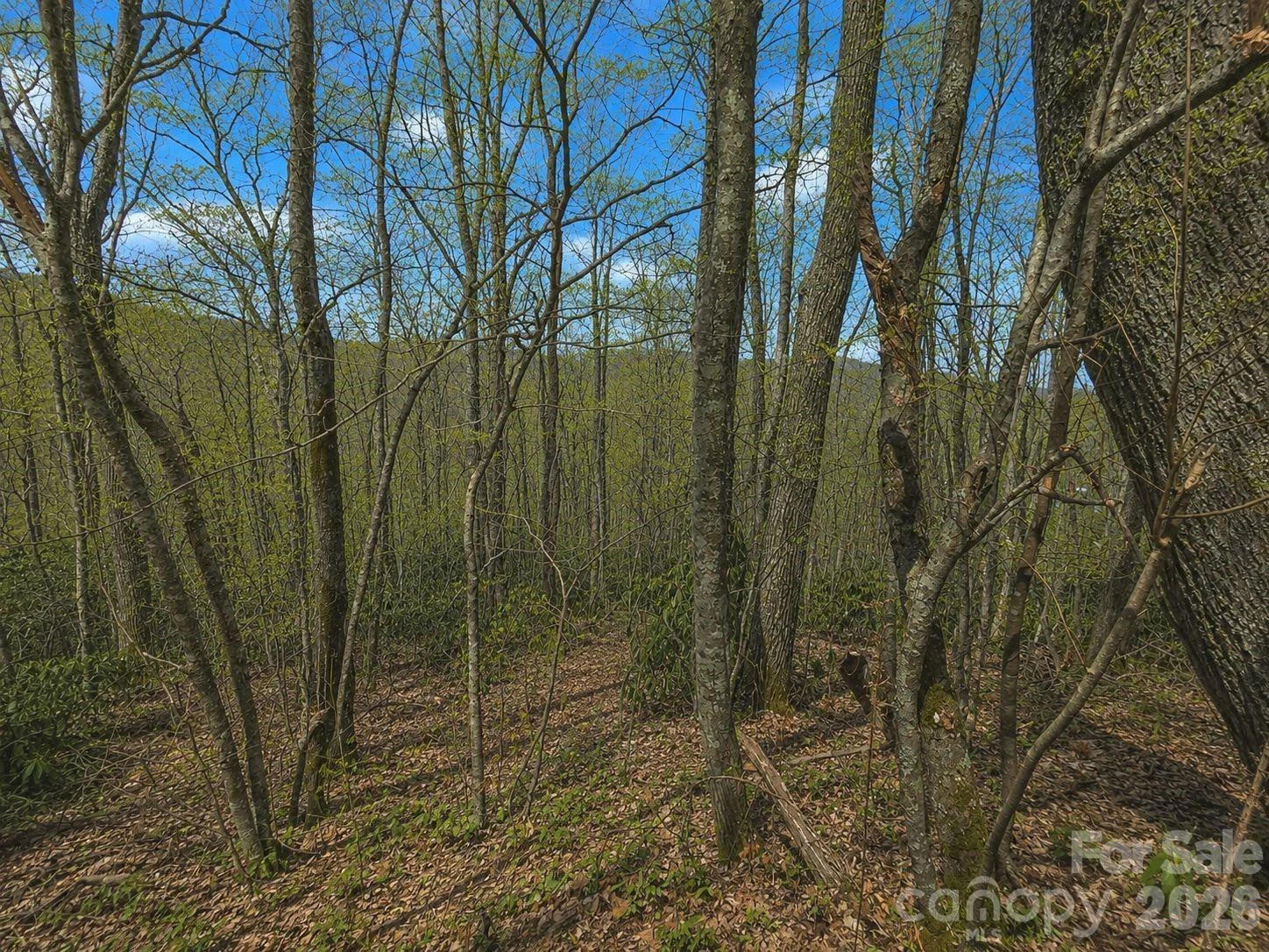 10 Tall Oaks Drive #58A & 58B - Photo 11