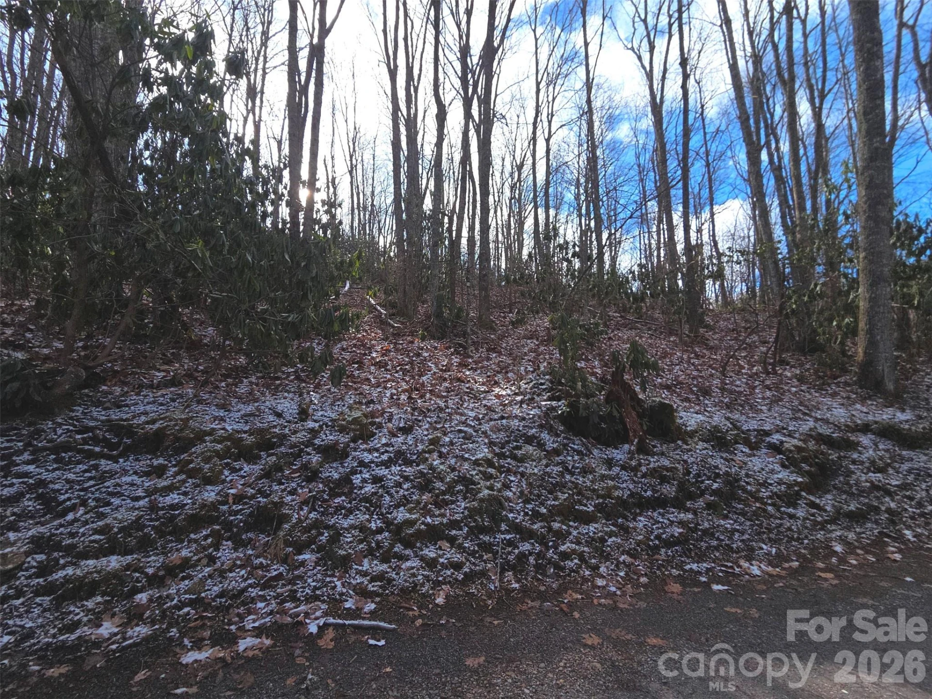 10 Tall Oaks Drive #58A & 58B - Photo 24