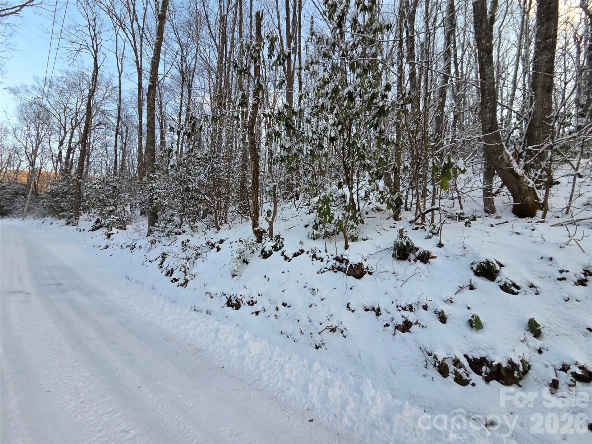 10 Tall Oaks Drive #58A & 58B - Photo 26