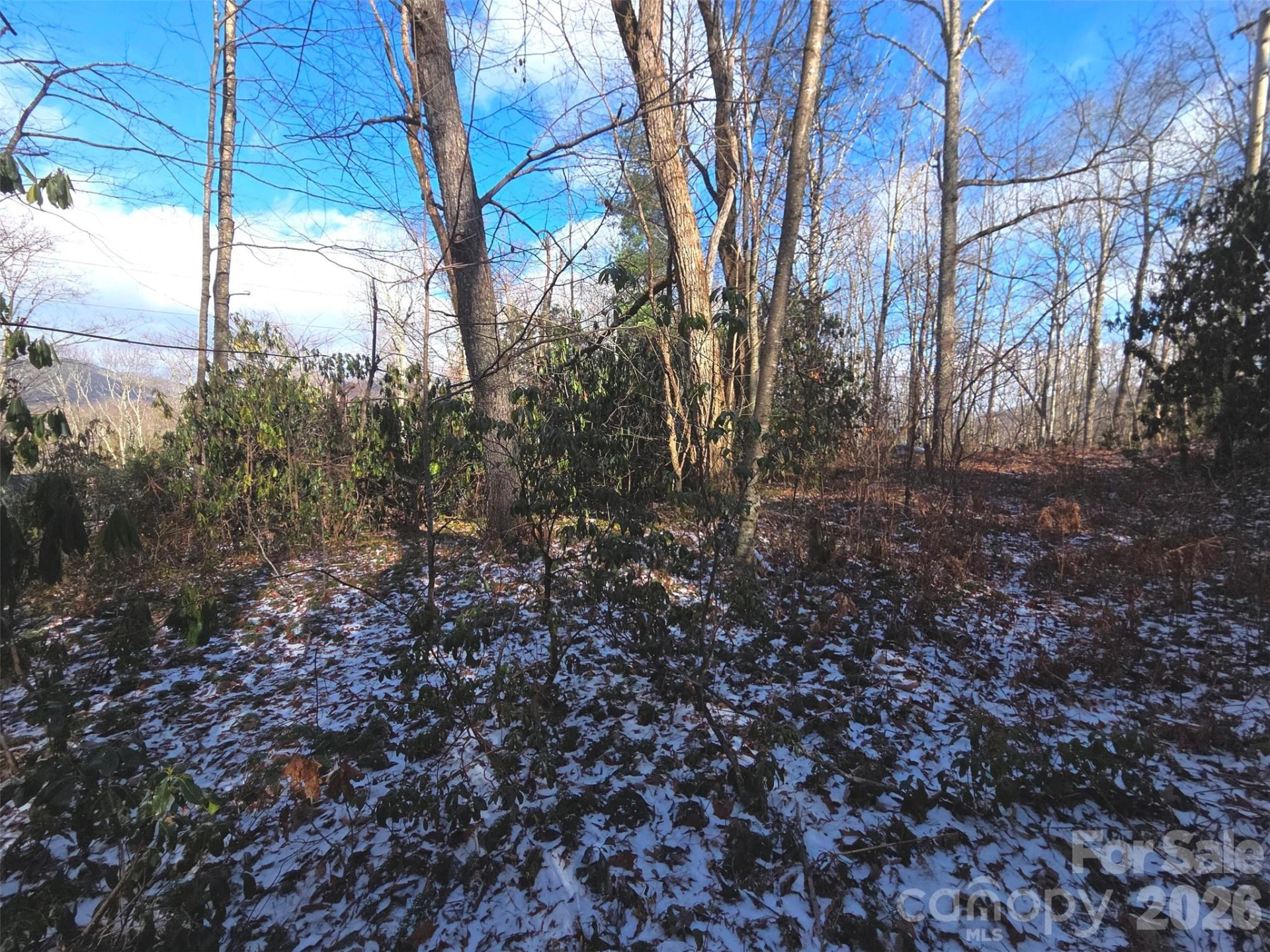 10 Tall Oaks Drive #58A & 58B - Photo 14