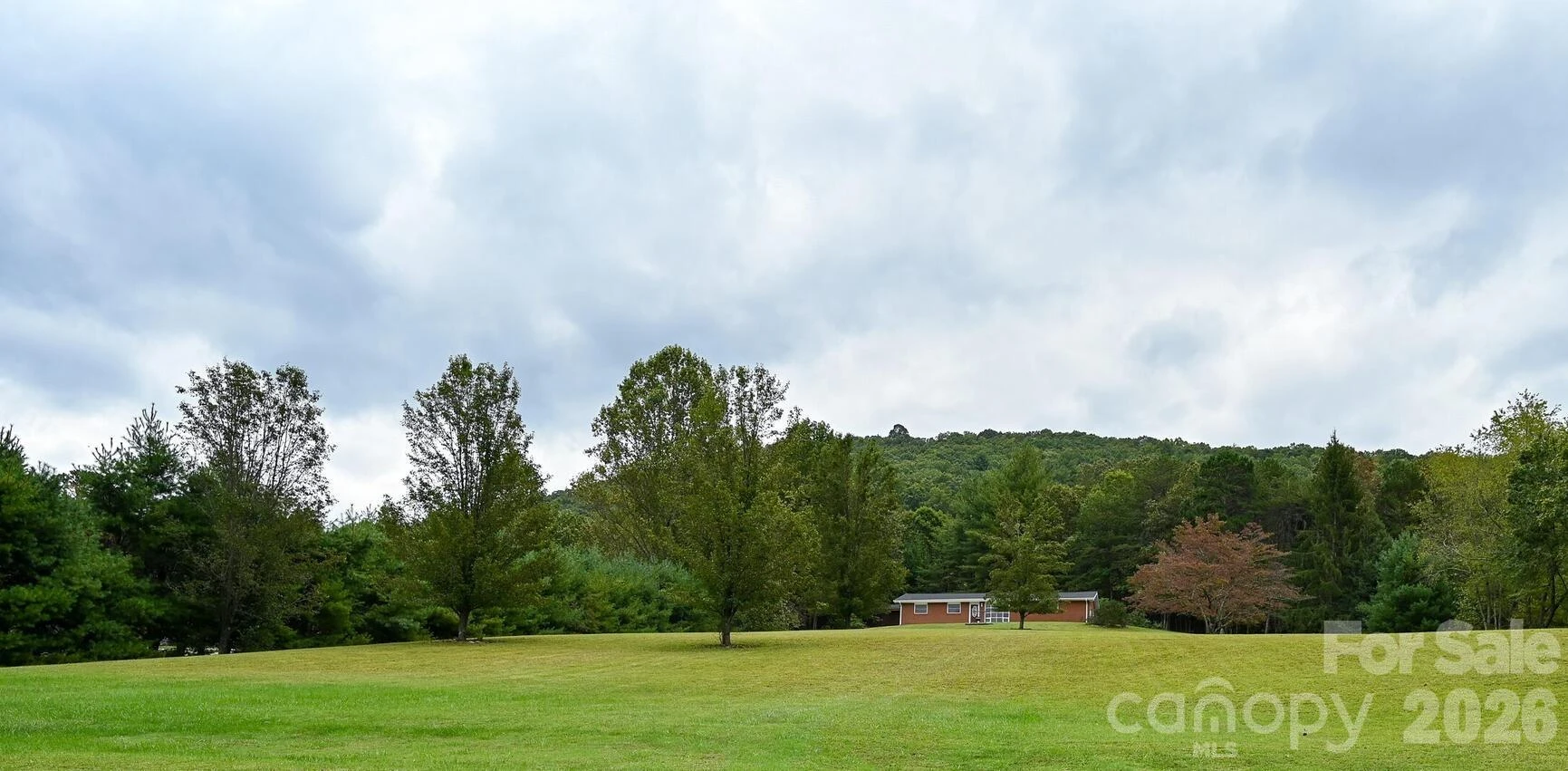 651 Case Cove Road - Photo 44