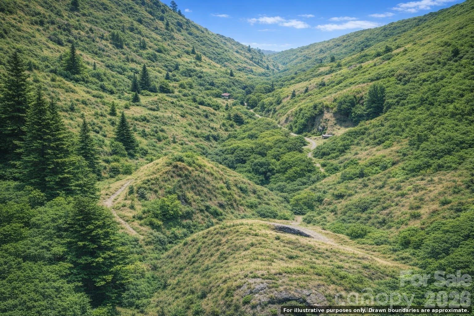 0000 Rogers Cove Road - Photo 3