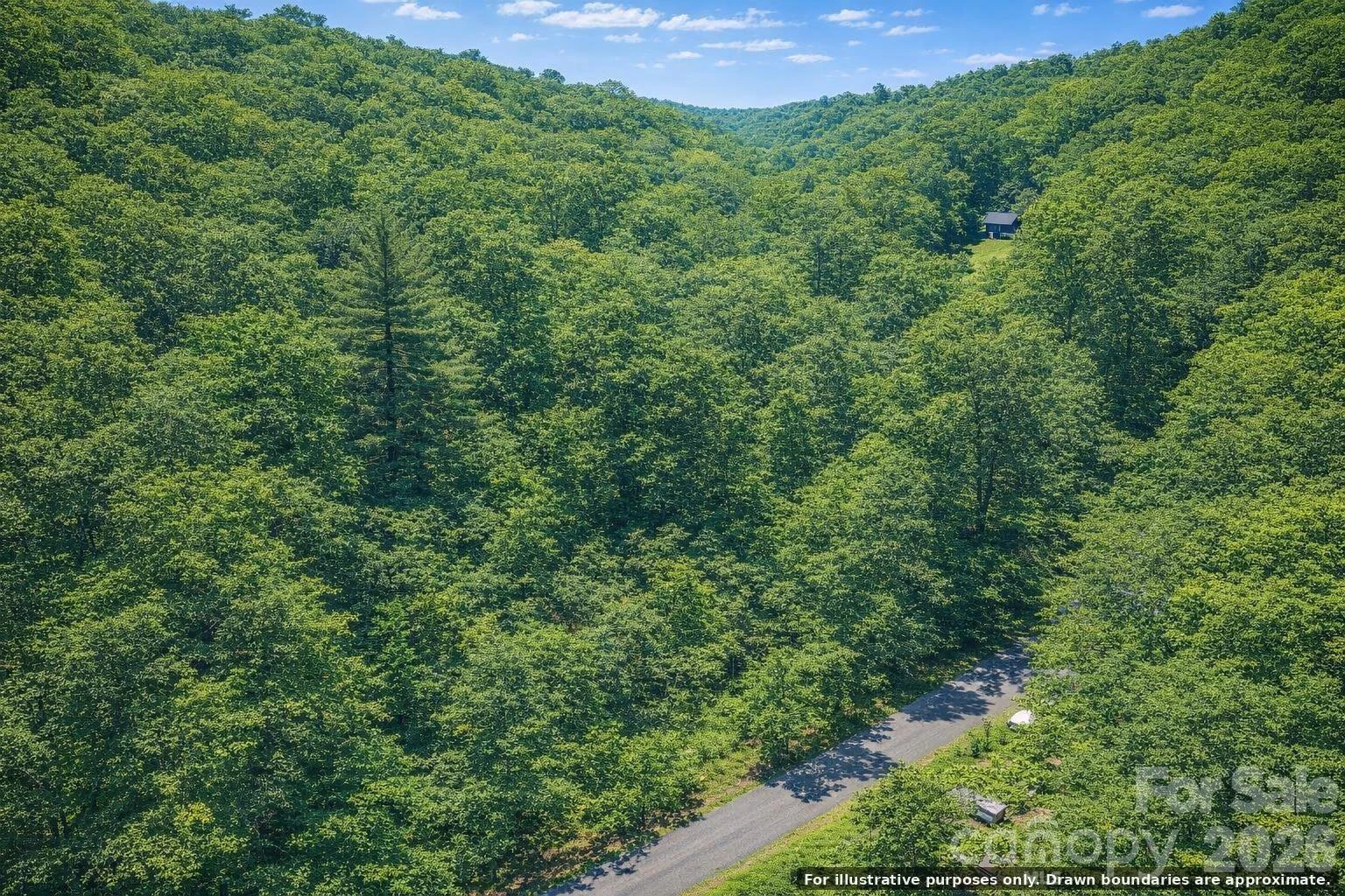 0000 Rogers Cove Road - Photo 7