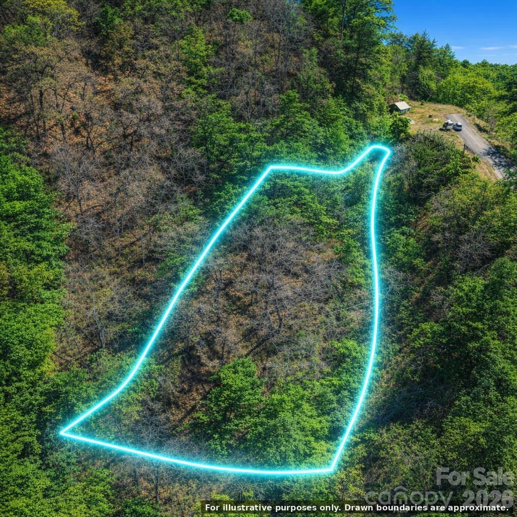 0000 Rogers Cove Road - Photo 8