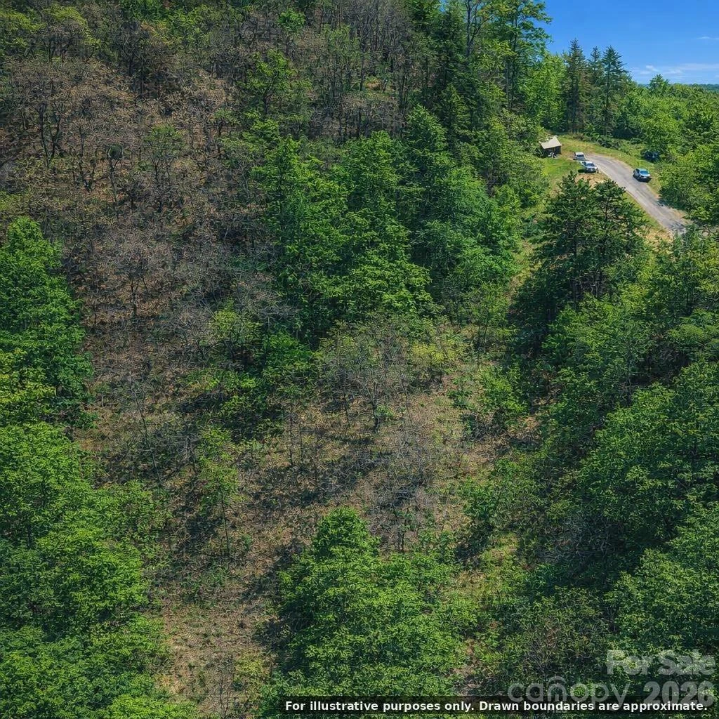 0000 Rogers Cove Road - Photo 9