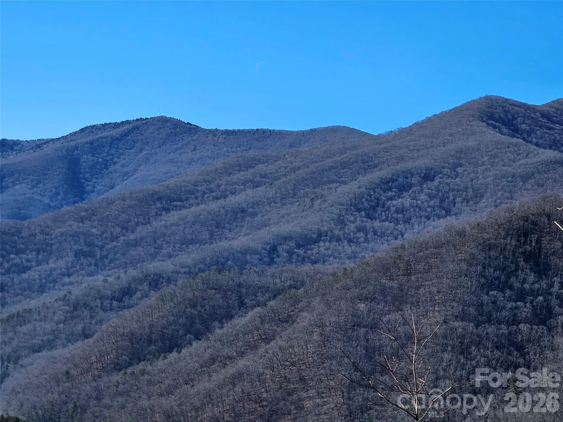 000 Blue Vista Road - Photo 2