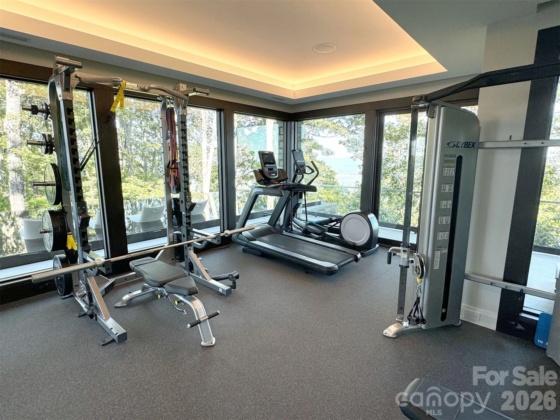 515 Cloud Top Way - Photo 34