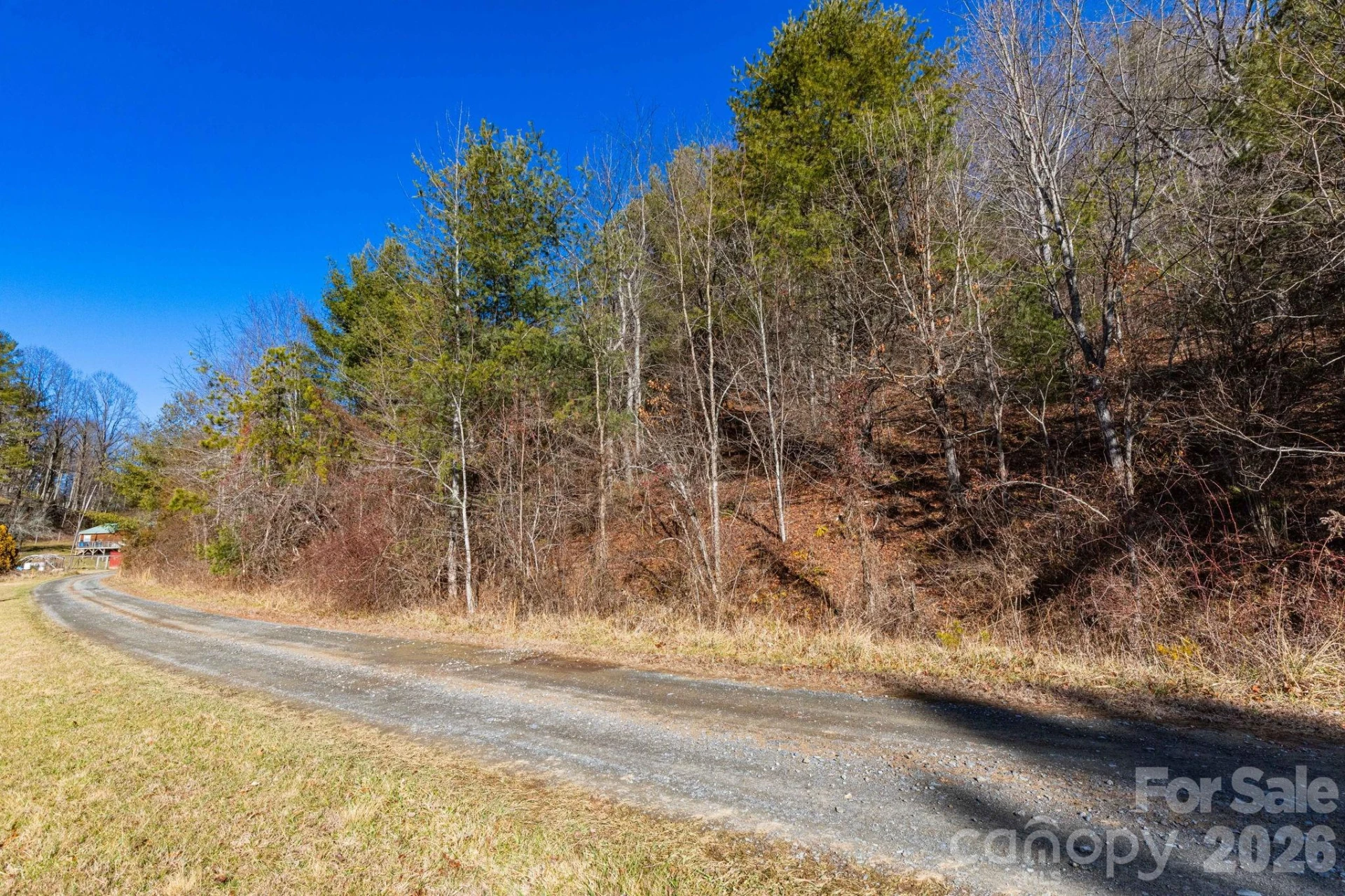 999A Rosalie Lane #6 - Photo 2