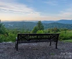 242 Carriage Summitt Way - Photo 35