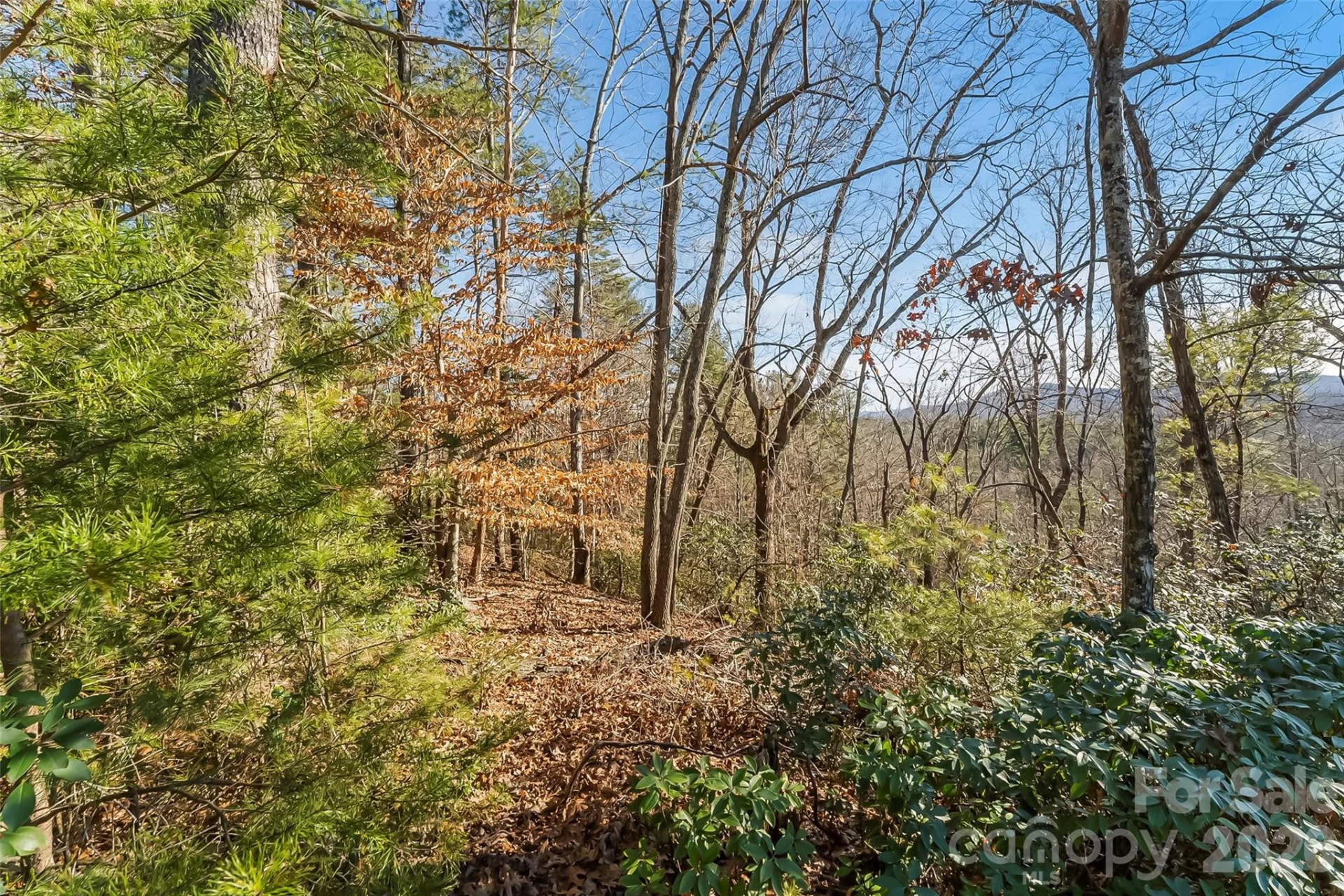 961 High Trail Drive #35-11 - Photo 10