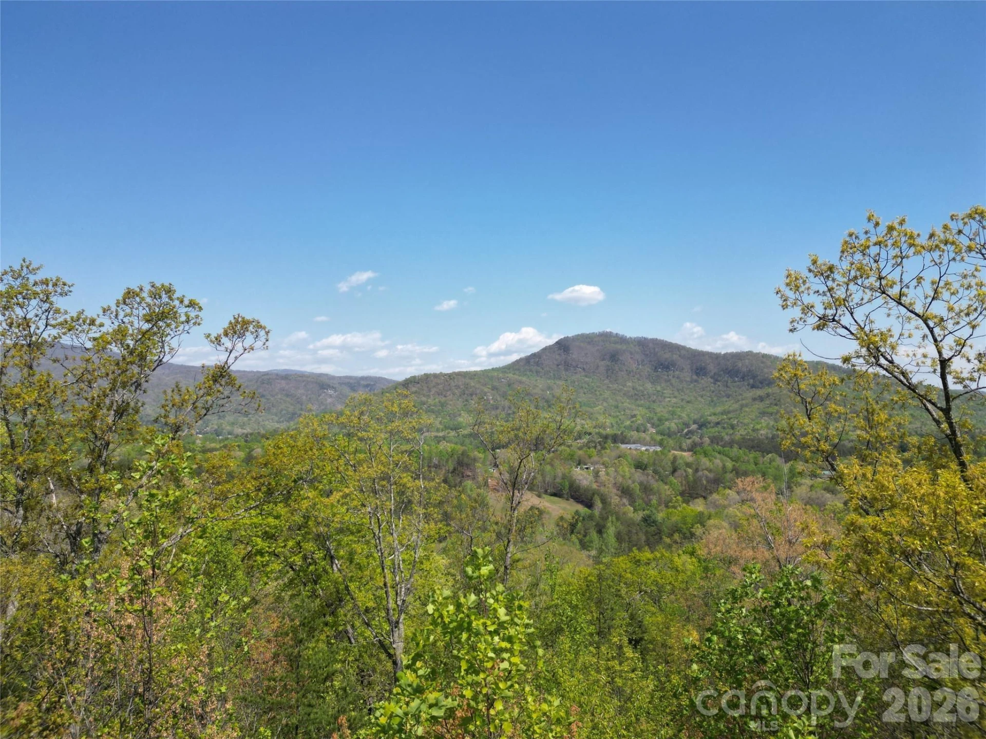 Lot 4 Hibiscus Court