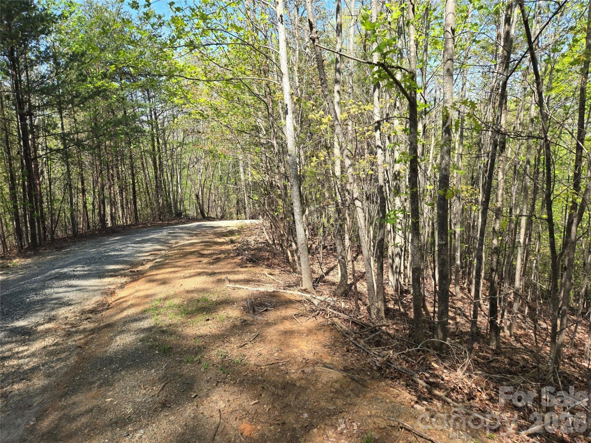 Lot 4 Hibiscus Court - Photo 2