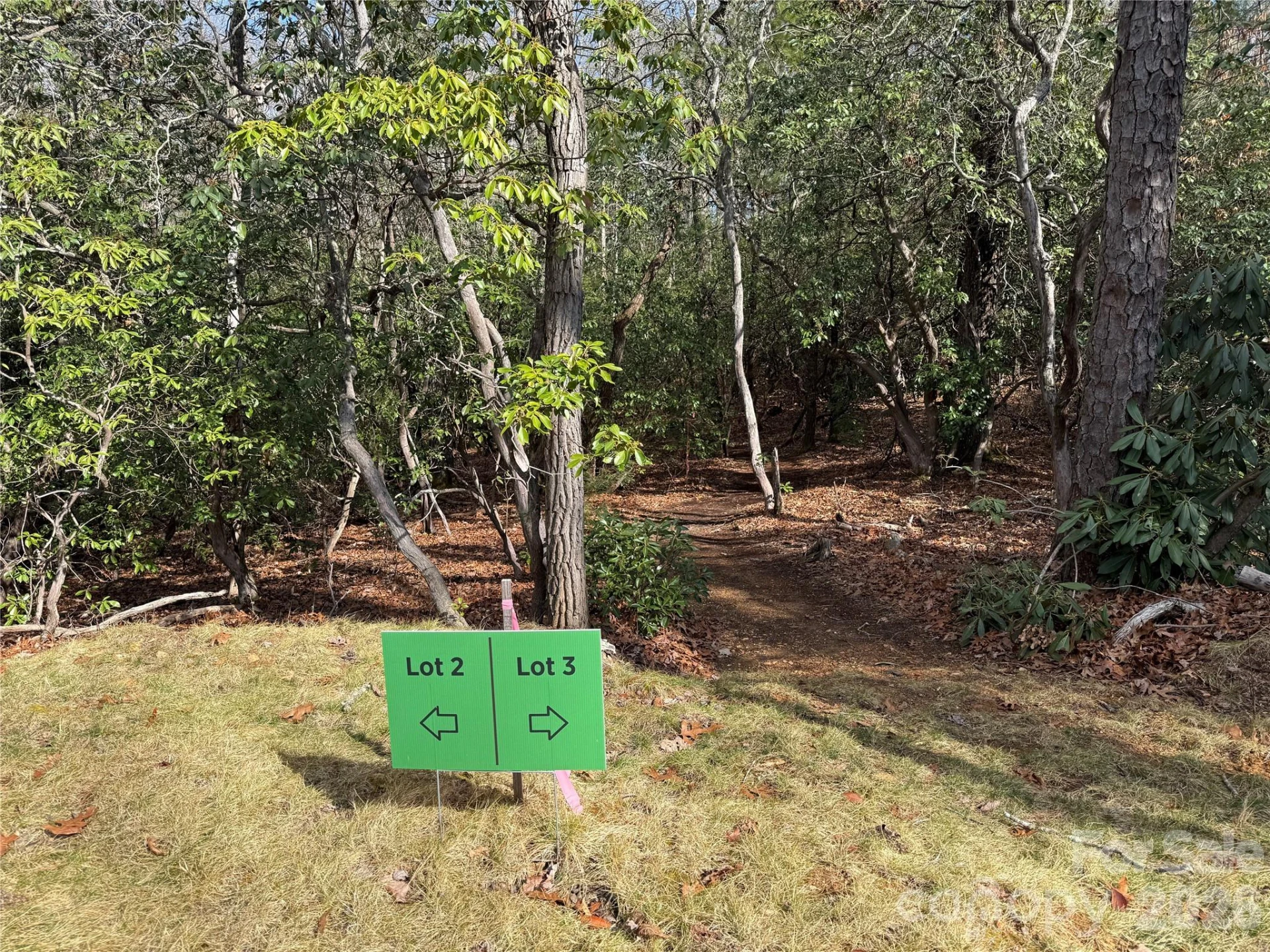 Tract 3 Turtle Ridge Trail - Photo 9