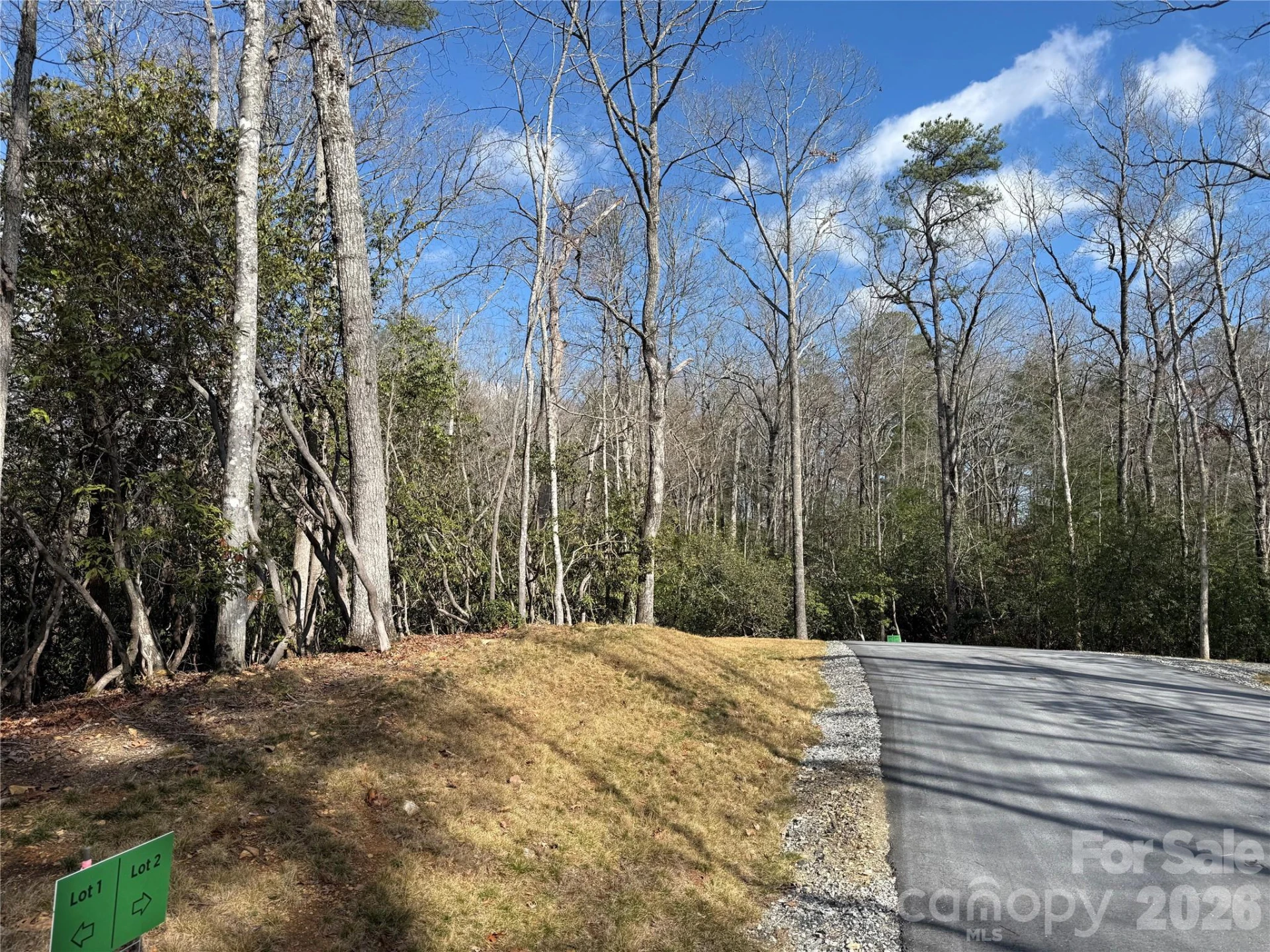 Tract 2 Turtle Ridge Trail - Photo 6