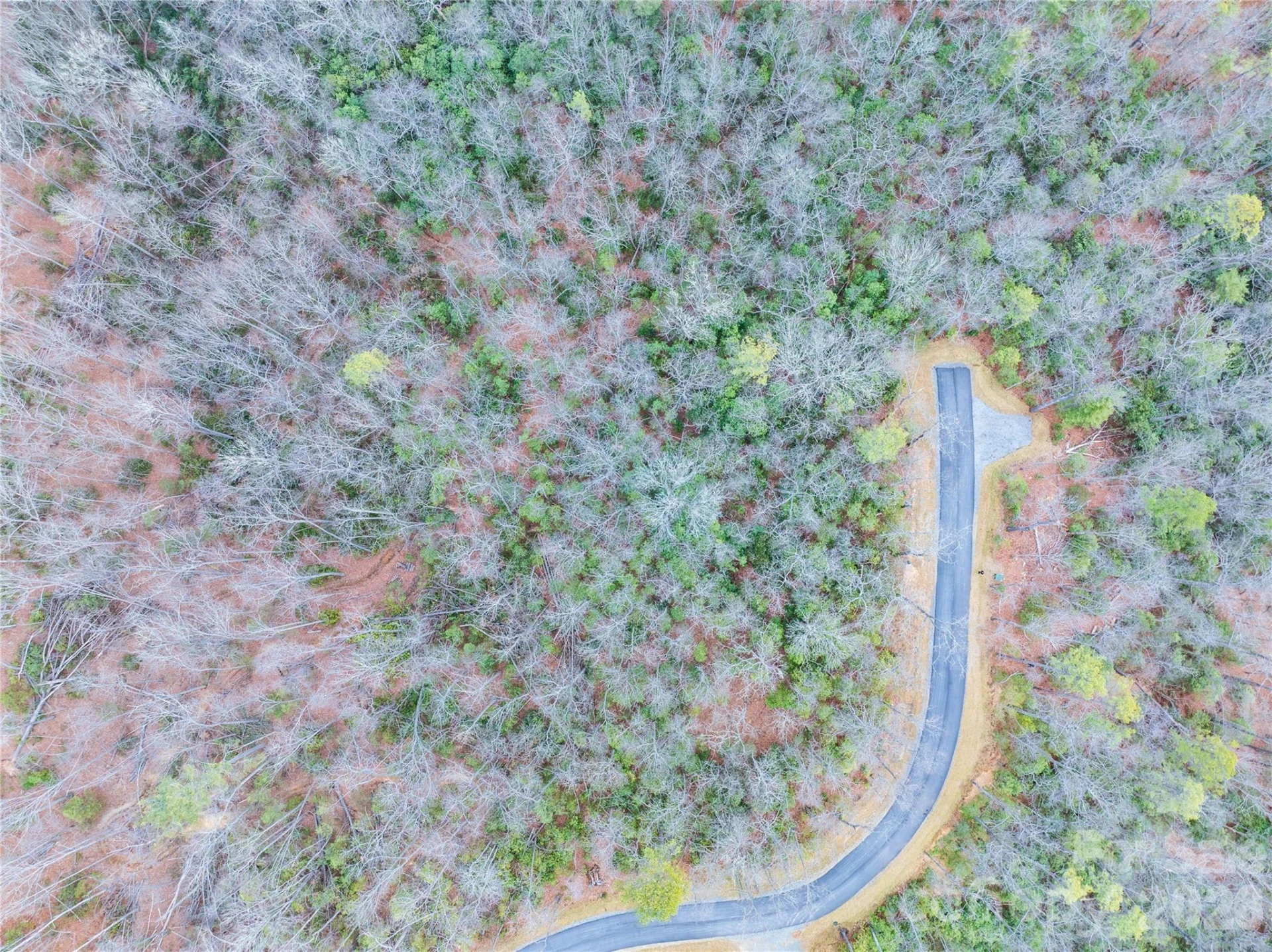 Tract 2 Turtle Ridge Trail - Photo 8