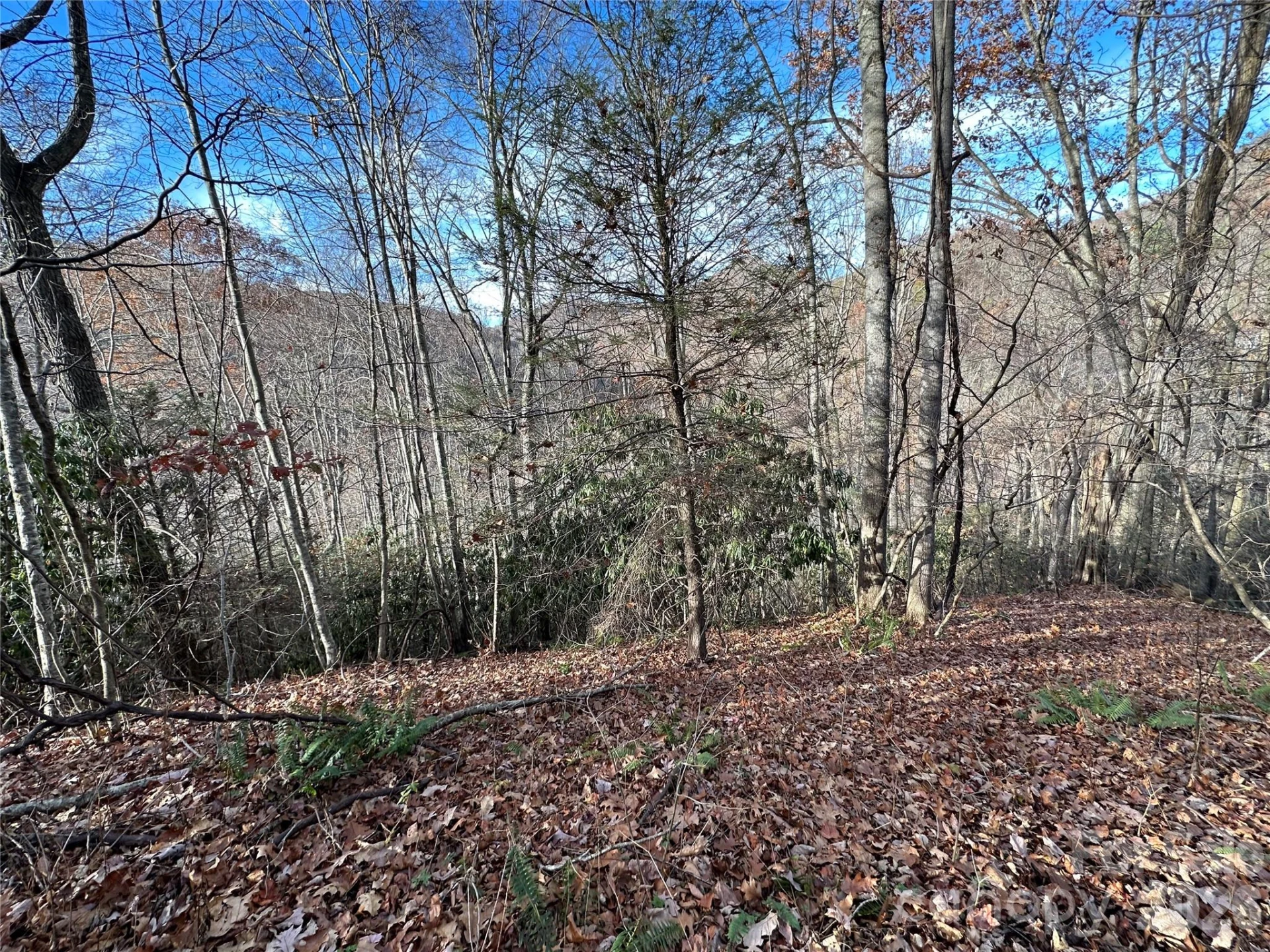 00 Rock House Cove Road #2 - Photo 2