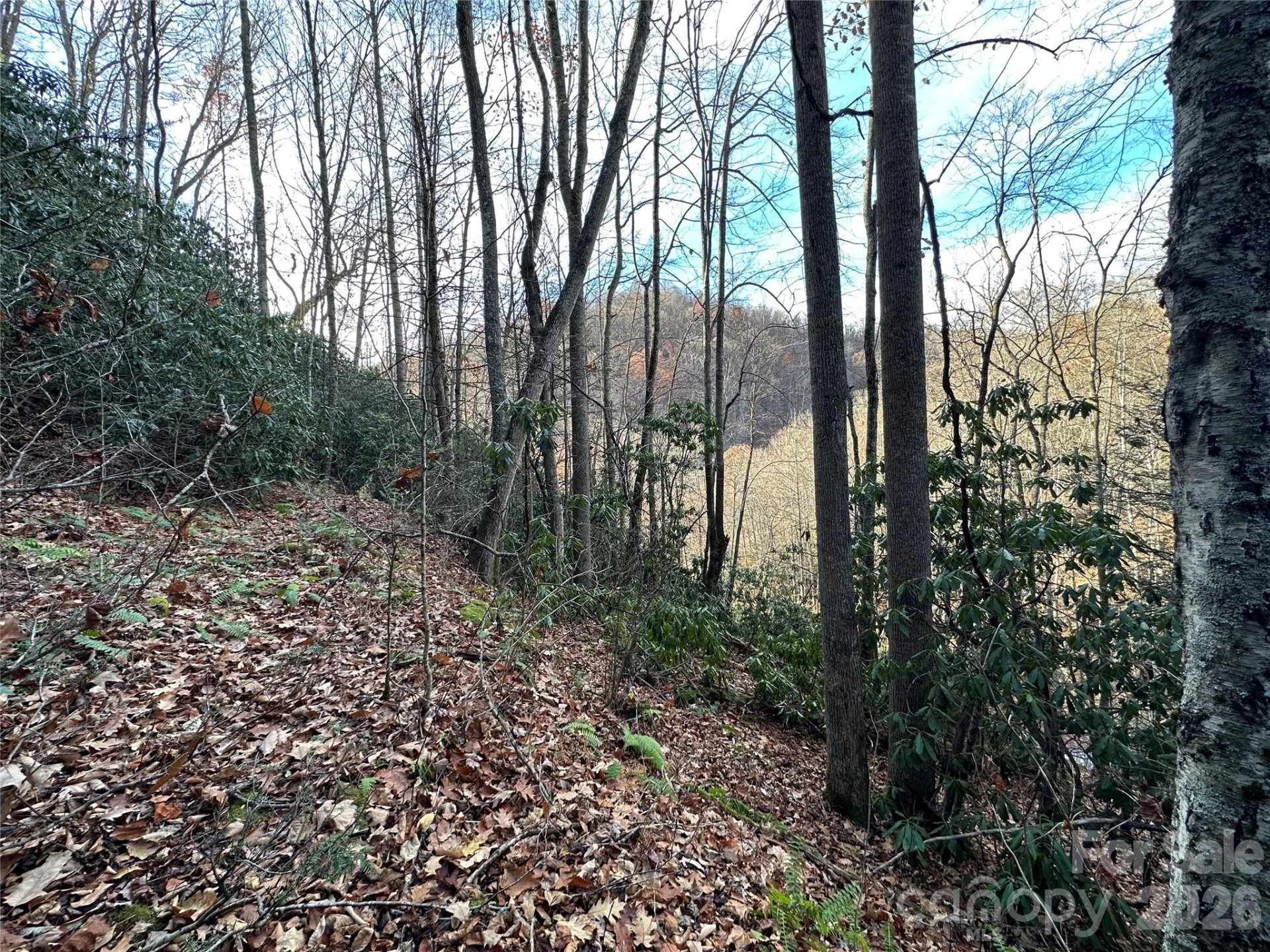 00 Rock House Cove Road #2 - Photo 8