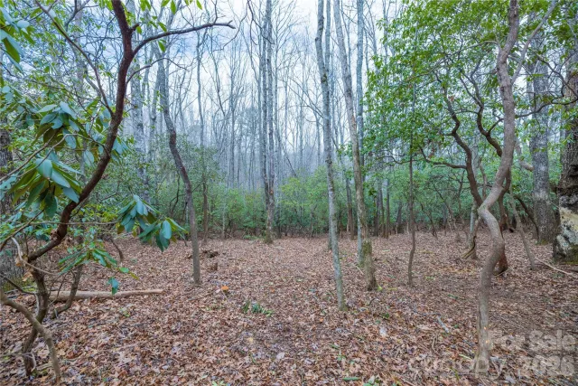 Tract 1 Turtle Ridge Trail, Mills River, NC, 28759